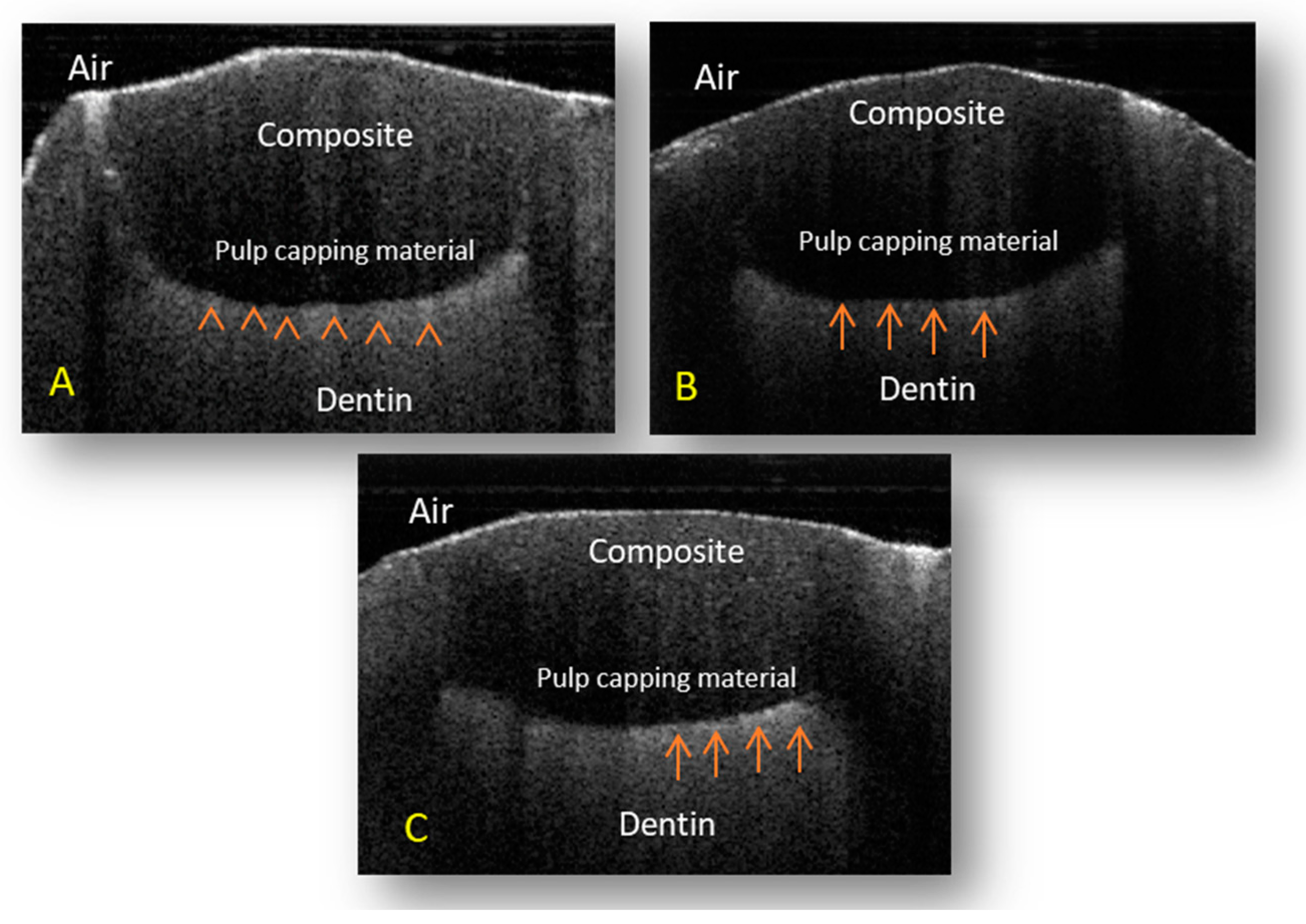 Children 10 01318 g002