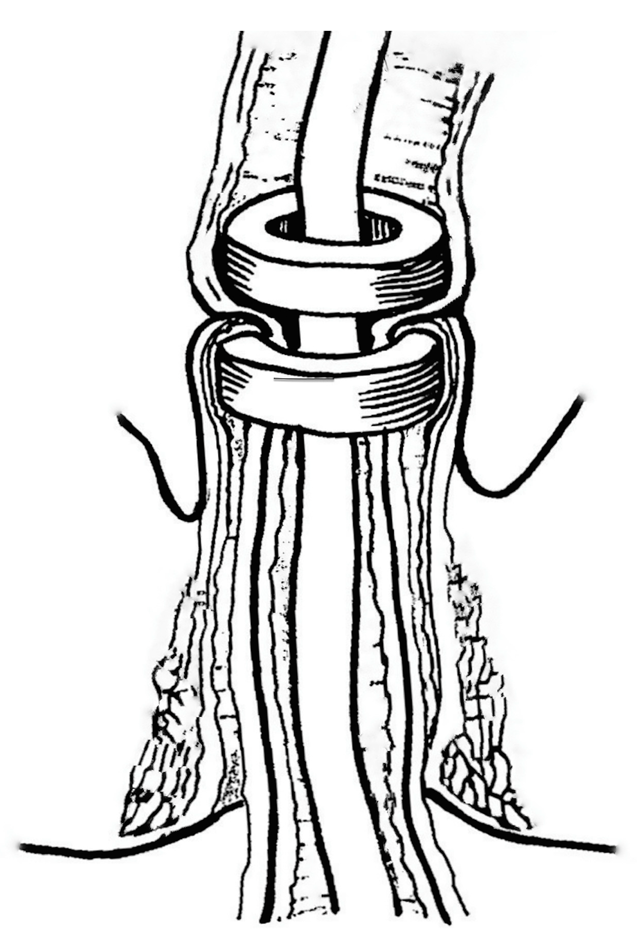 Children 10 01328 g005 550