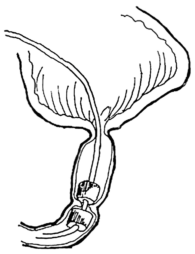 Children 10 01328 g006 550