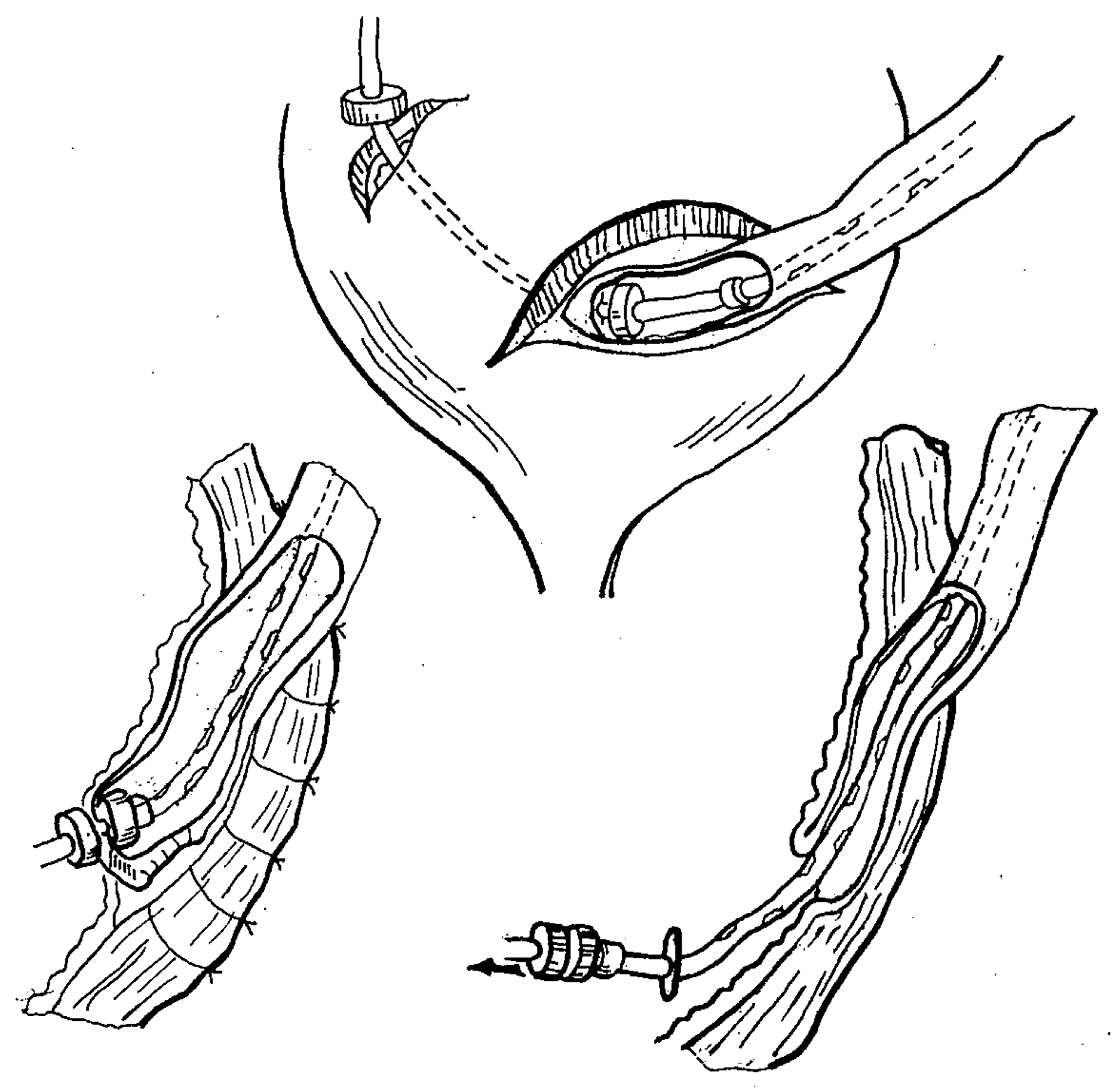 Children 10 01328 g007 550