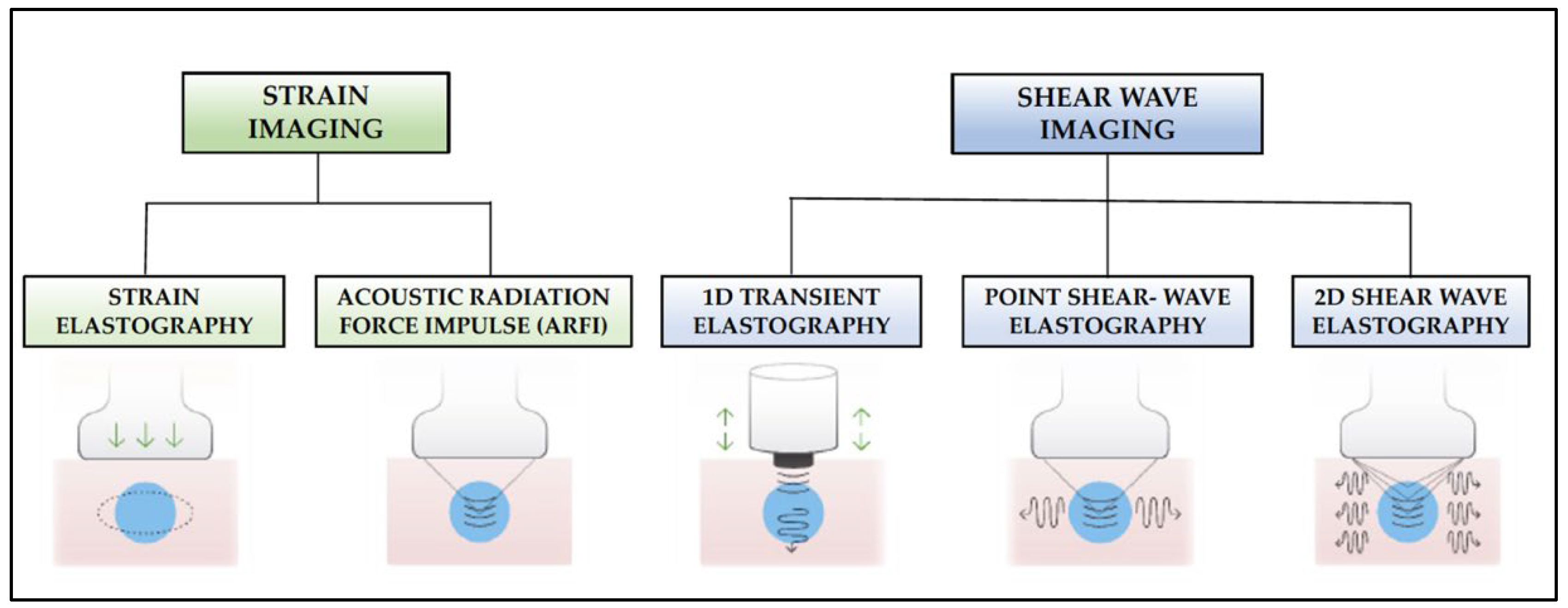 Children 10 01335 g004 Children 10 01335 g004