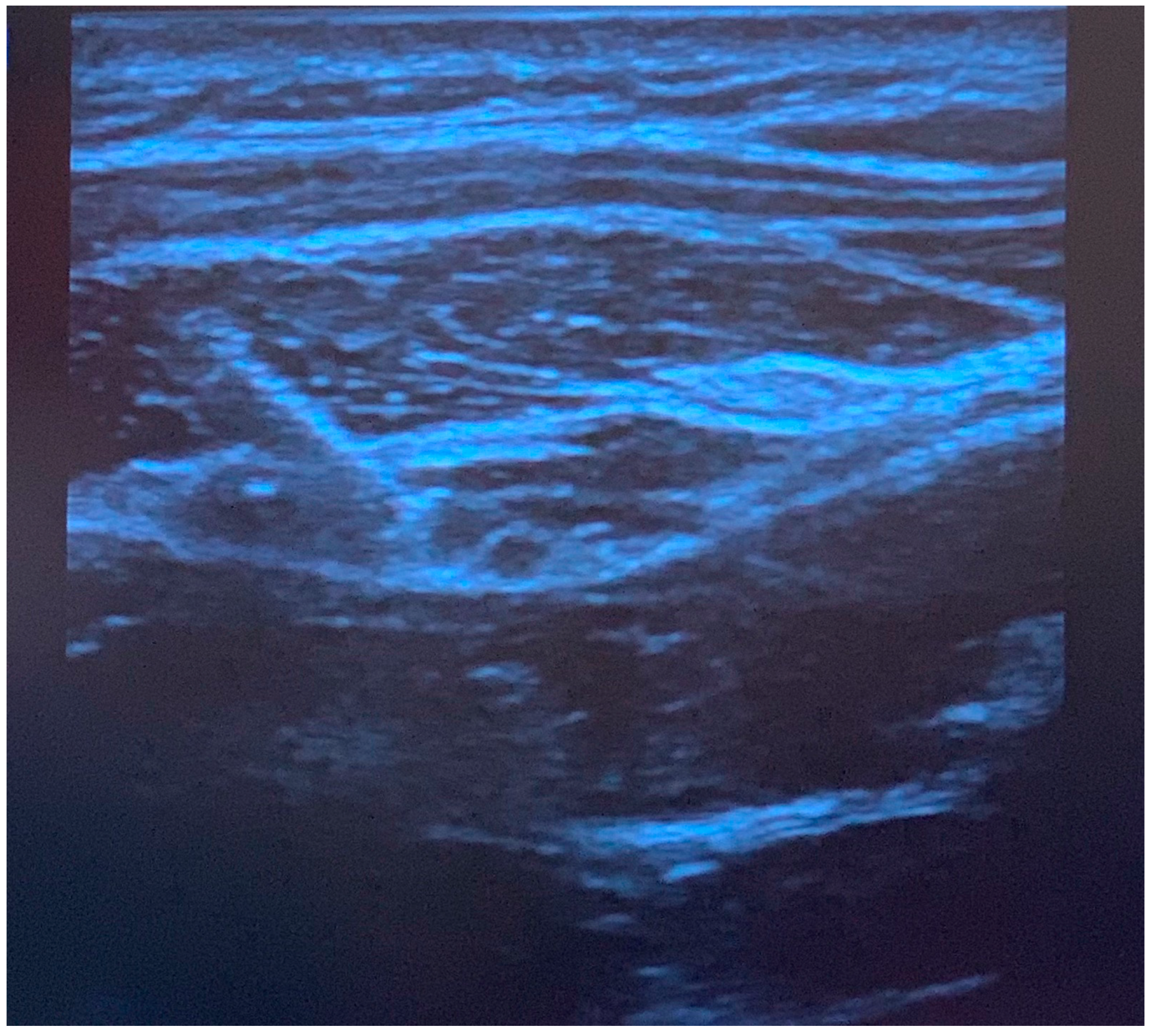 Children 10 01374 g002