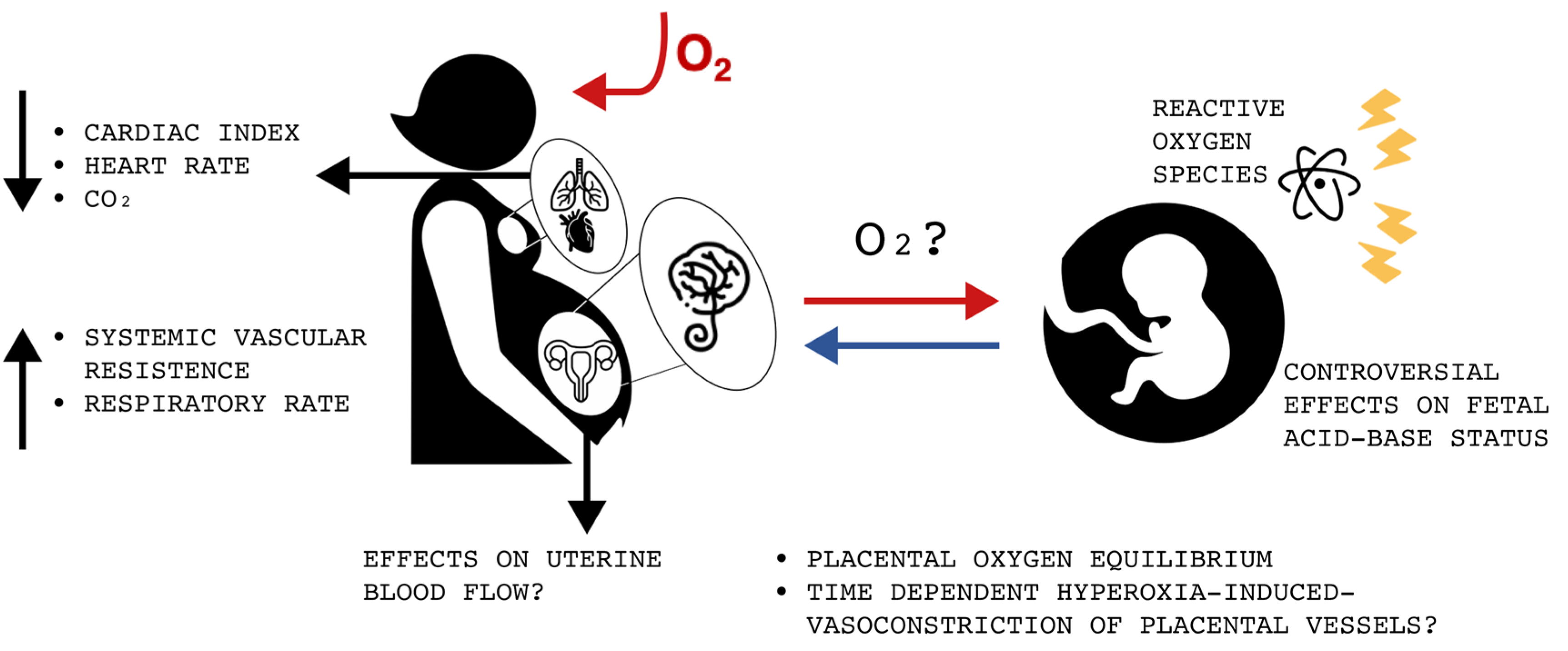 Children Free FullText Maternal Oxygen Administration during Labor A Controversial Practice