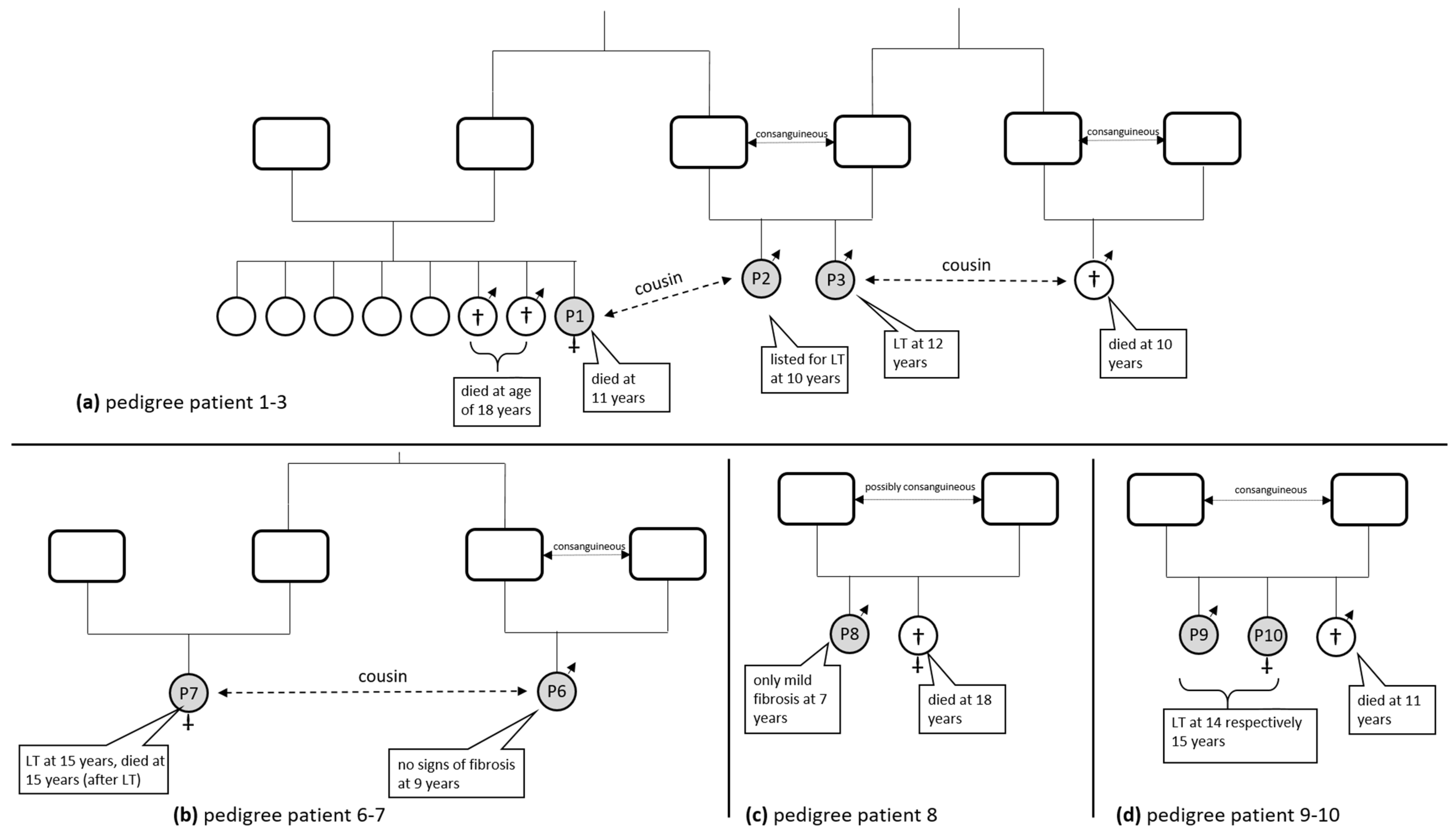 Children 10 01431 g001