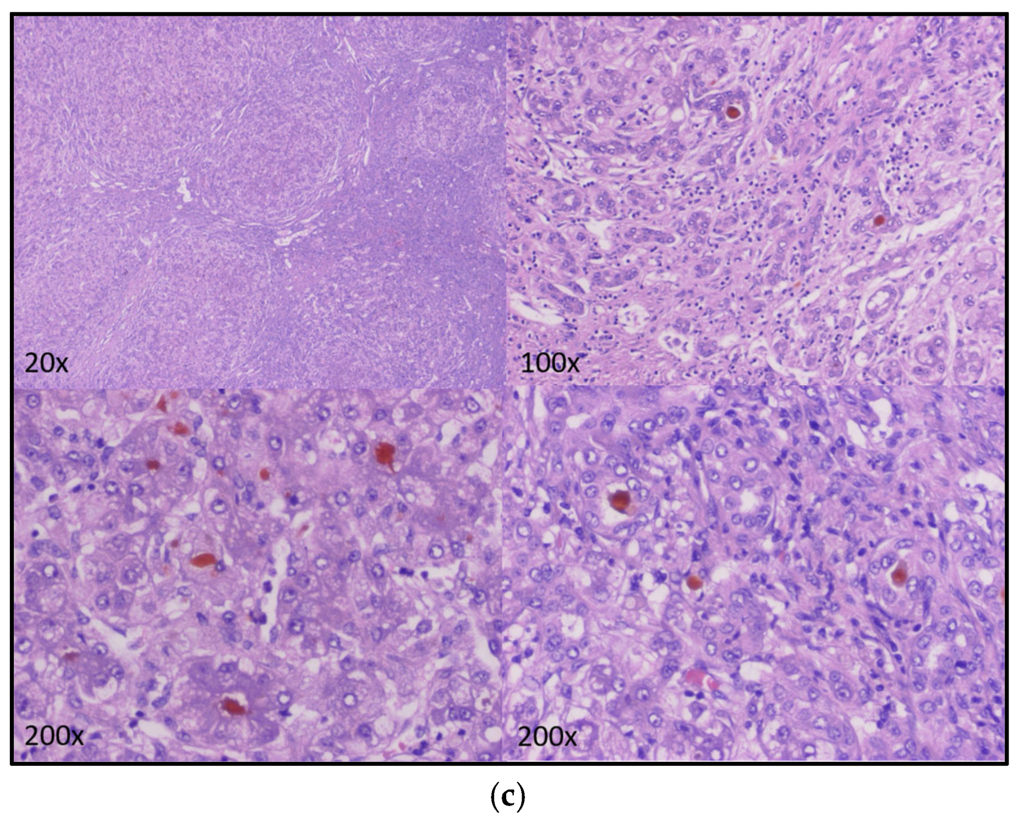 Children 10 01431 g002b