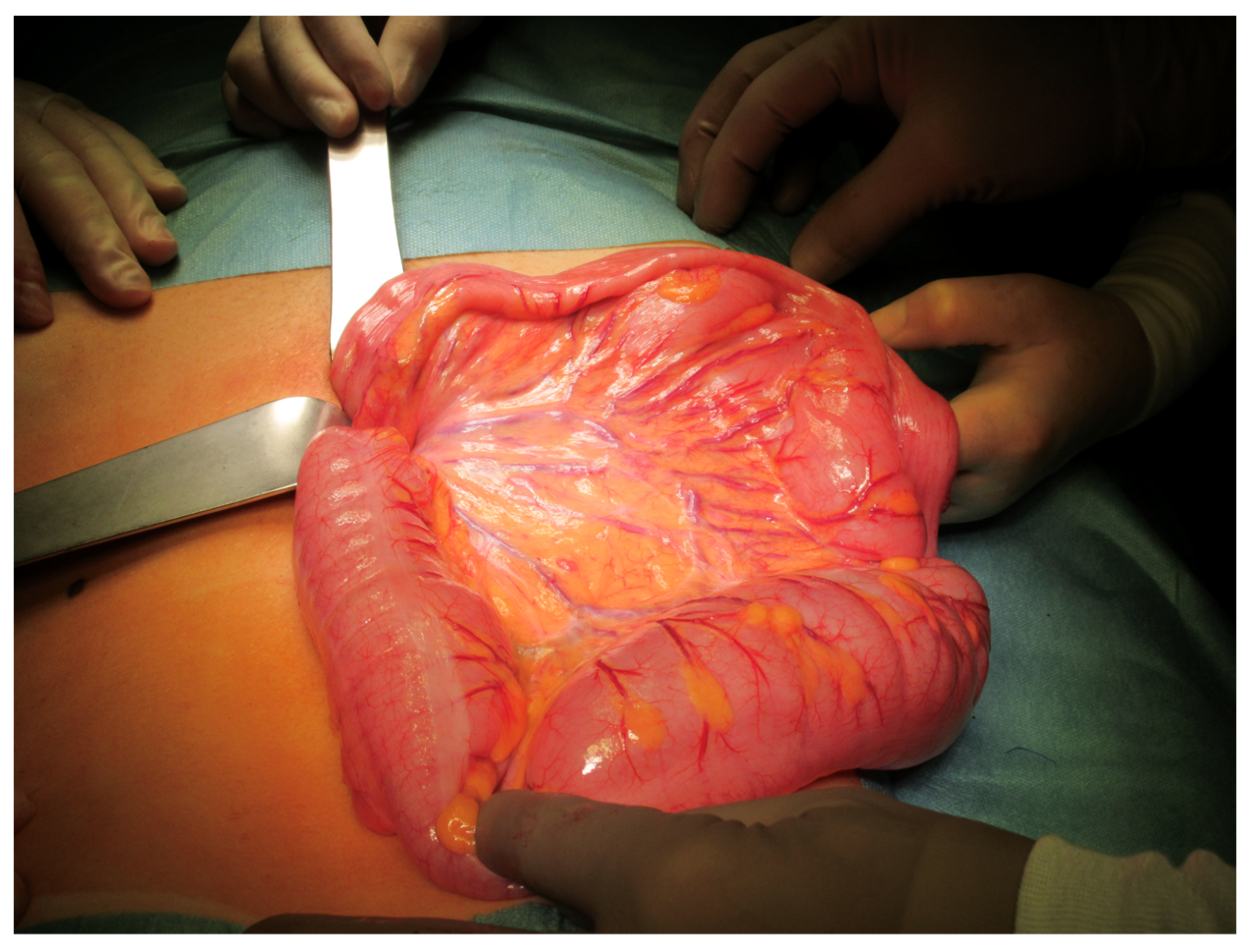 Children 10 01441 g003