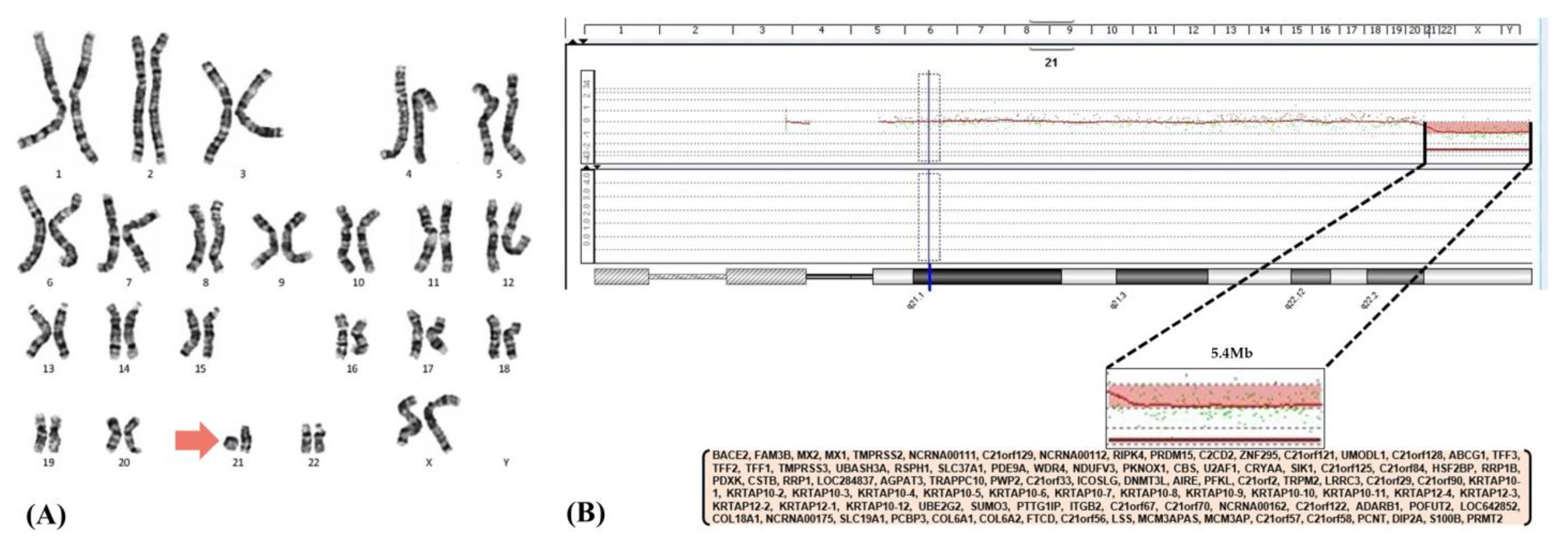 Children 10 01461 g002