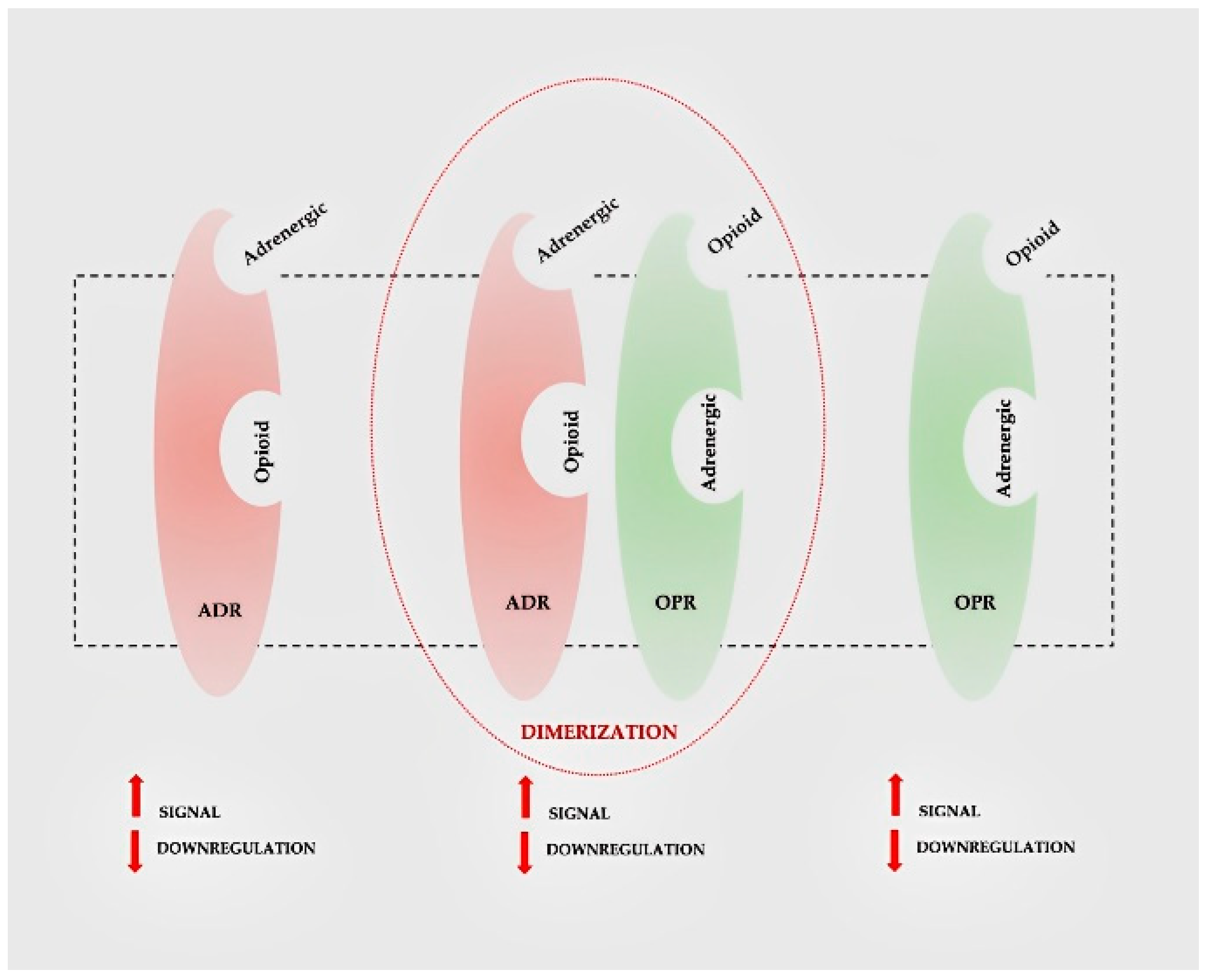 Children 10 01467 g005