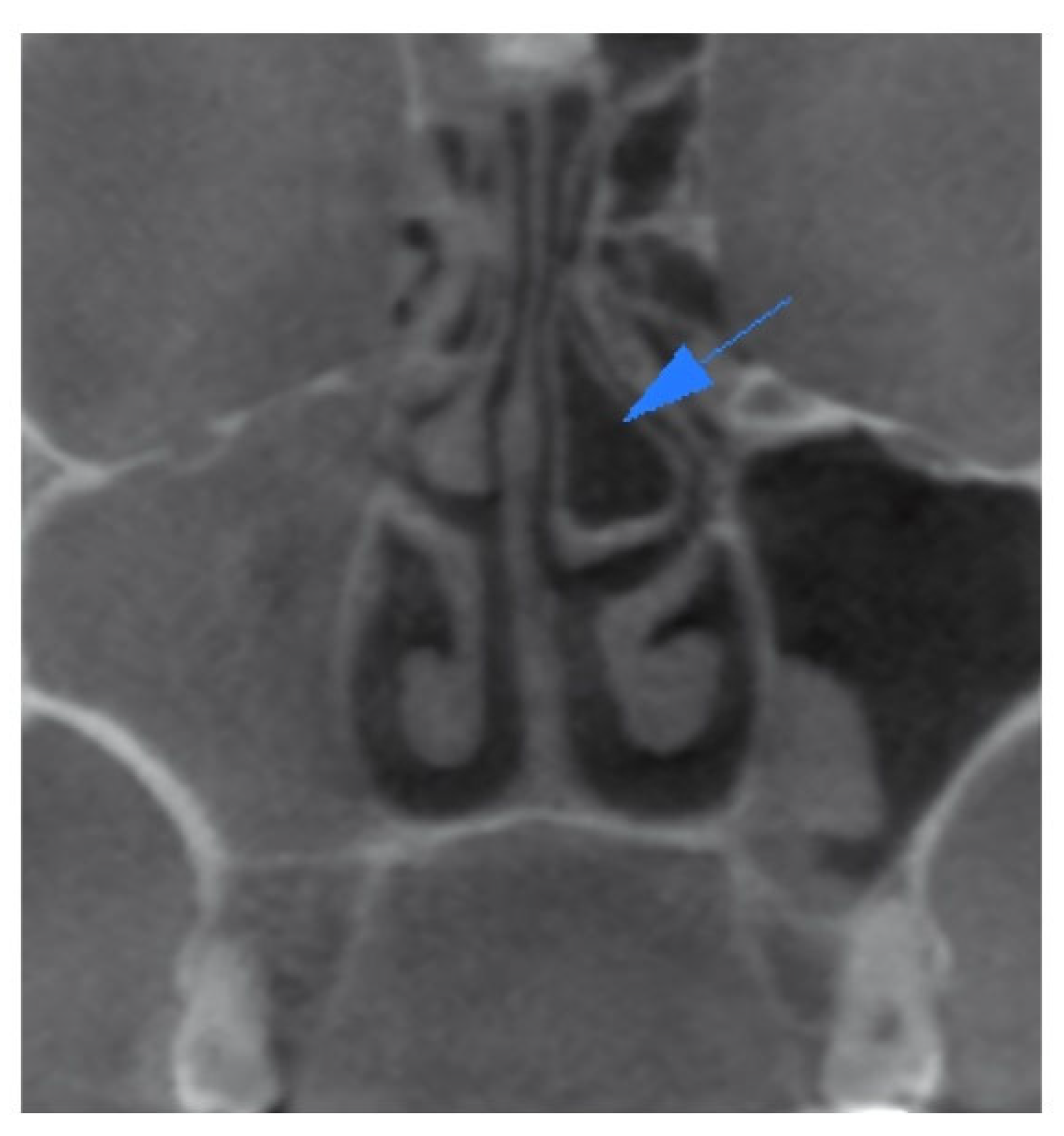 Children 10 01549 g001