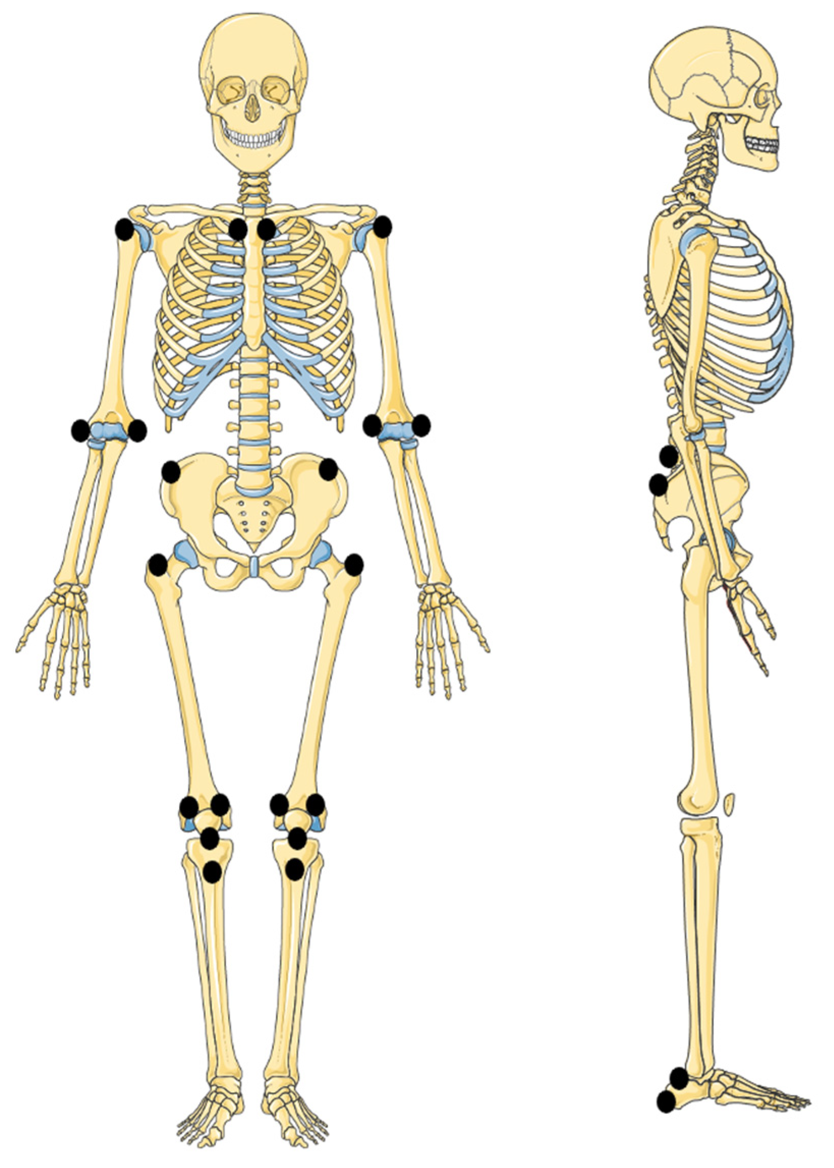 Children 10 01647 g002 Children 10 01647 g002