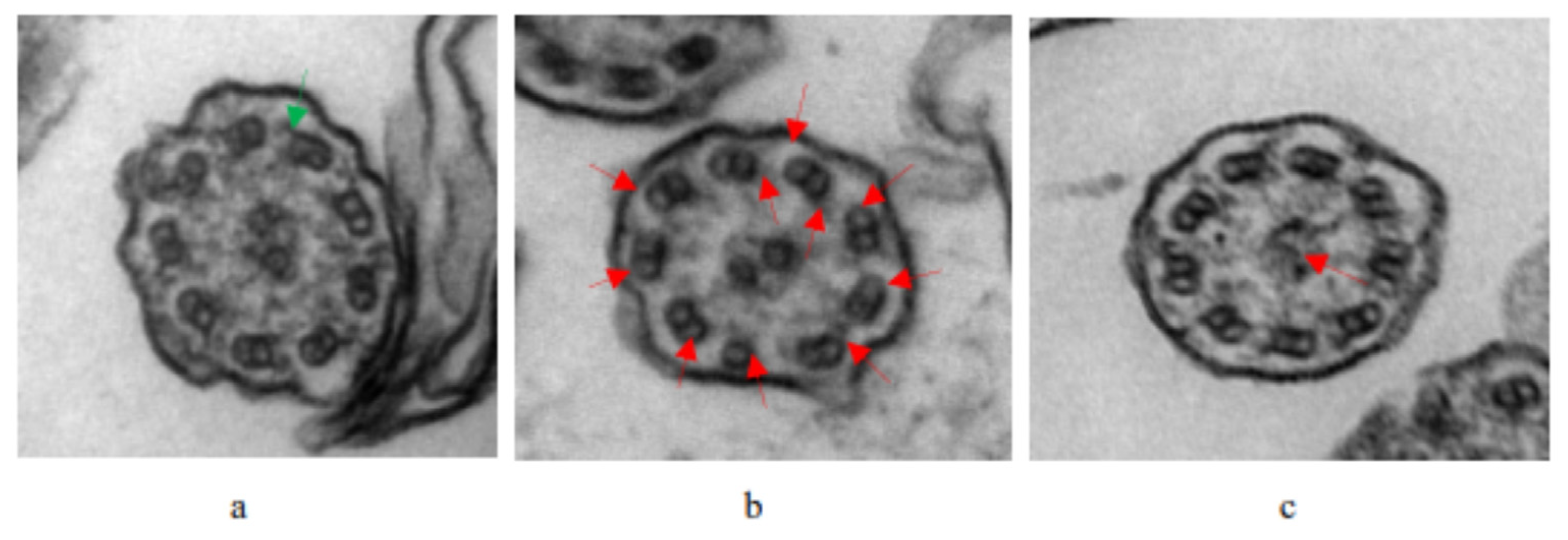 Children 10 01727 g002