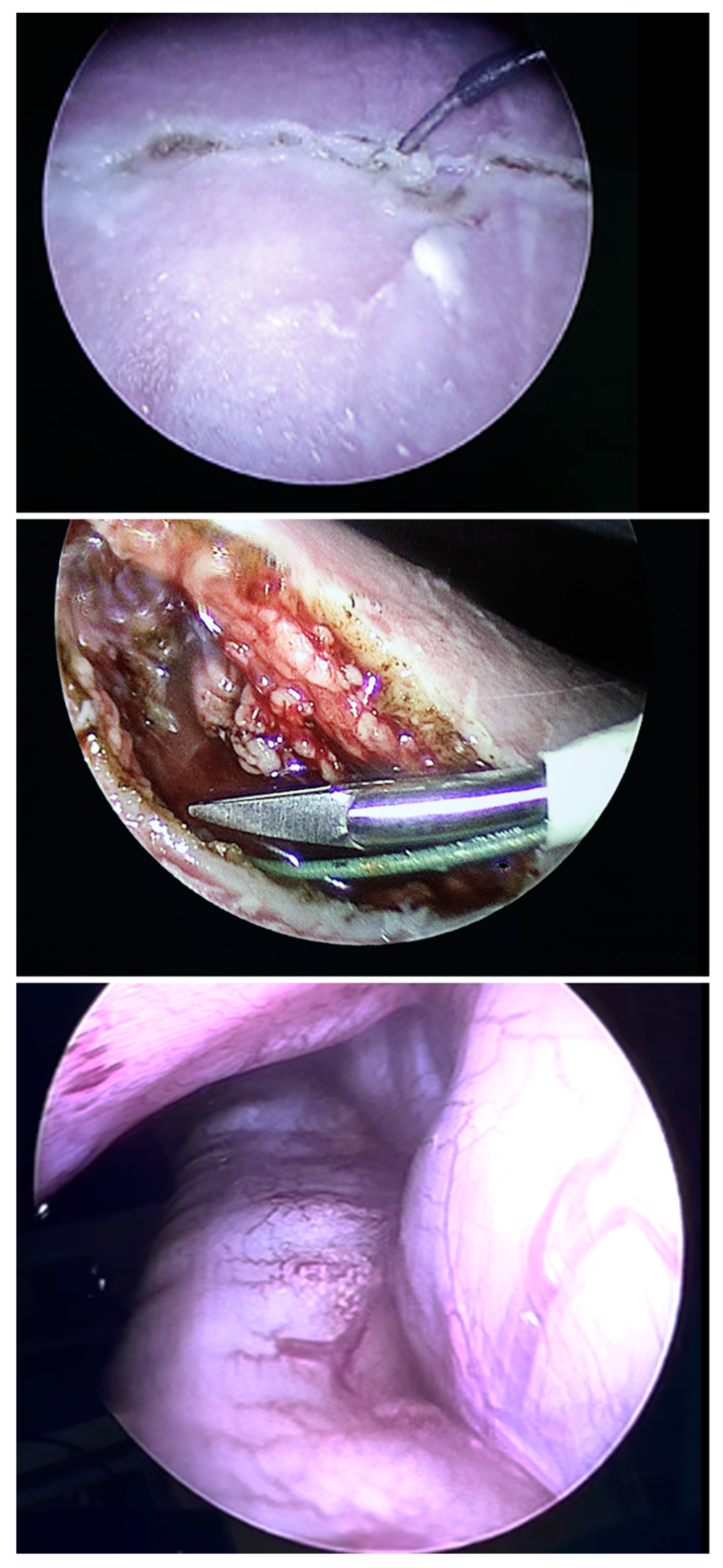 Children 10 01758 g003