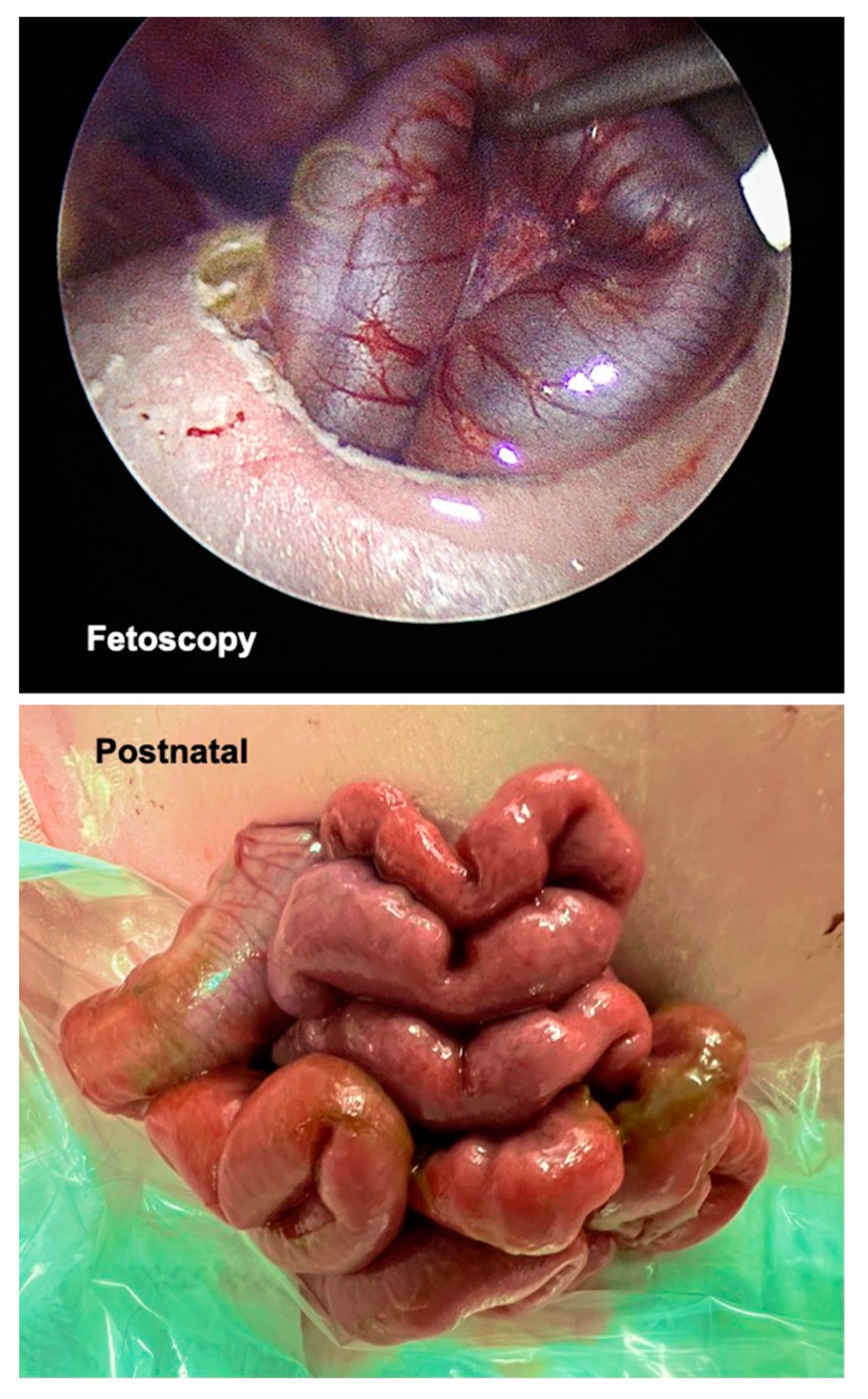 Children 10 01758 g004