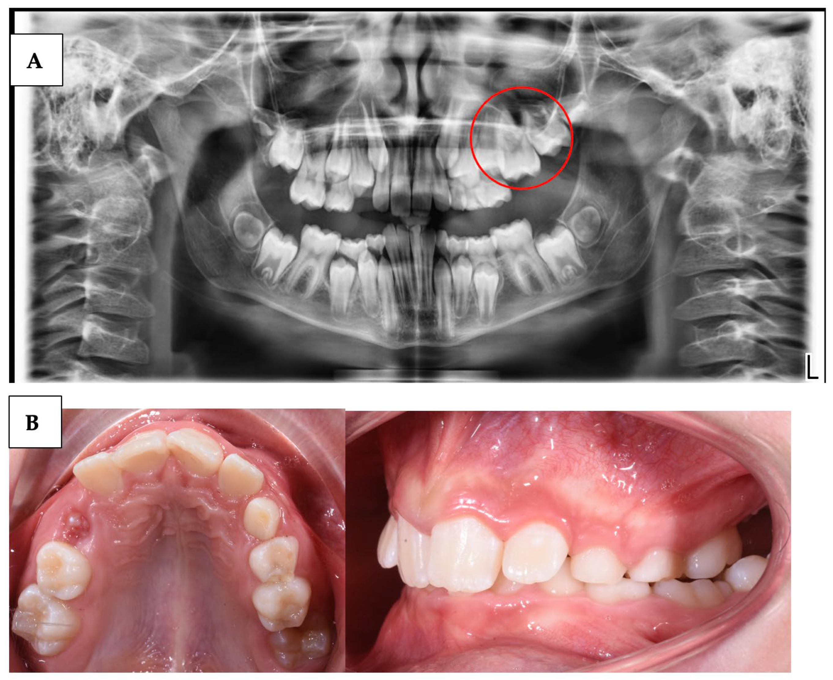 Children 10 01781 g001