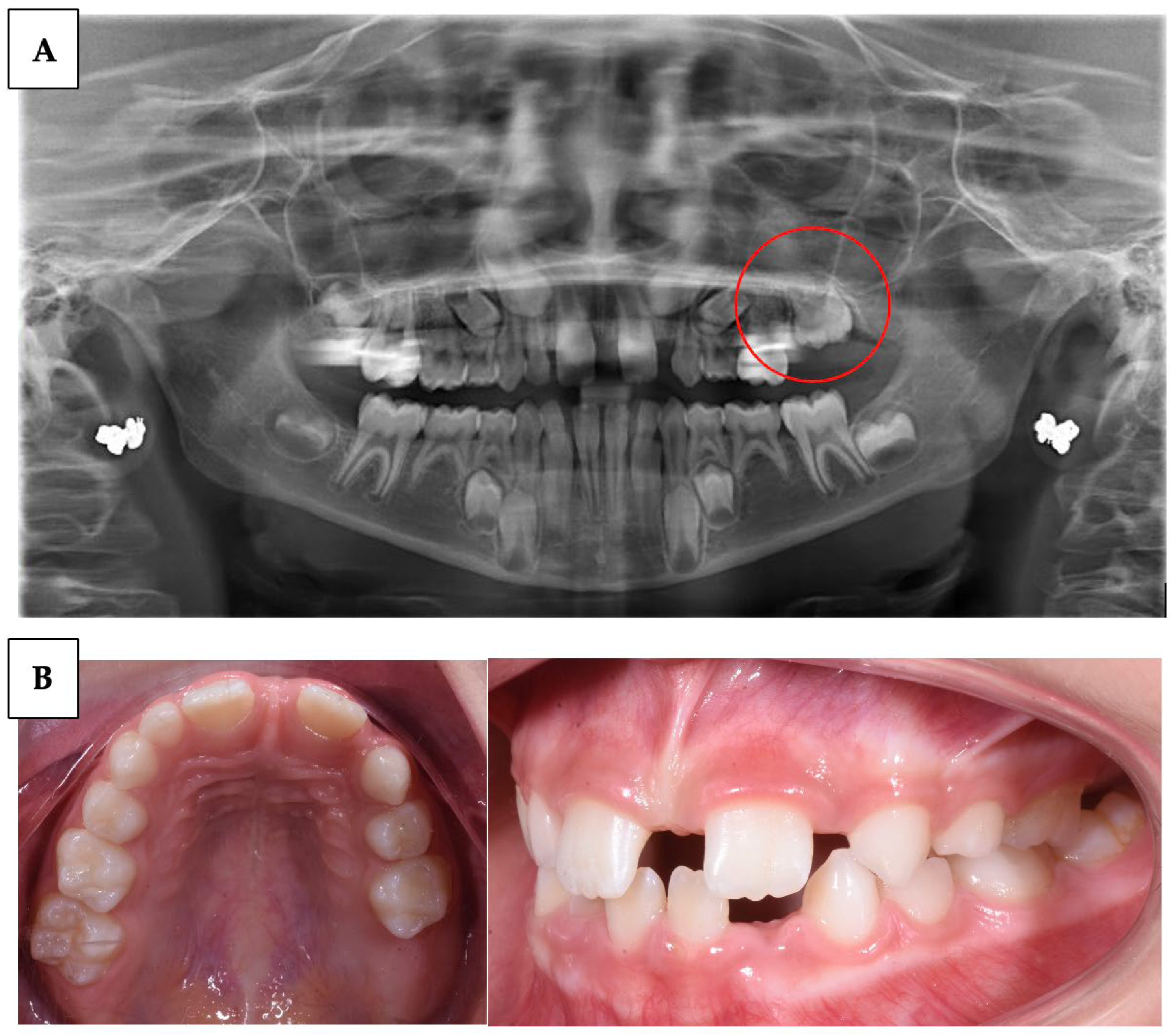 Children 10 01781 g002