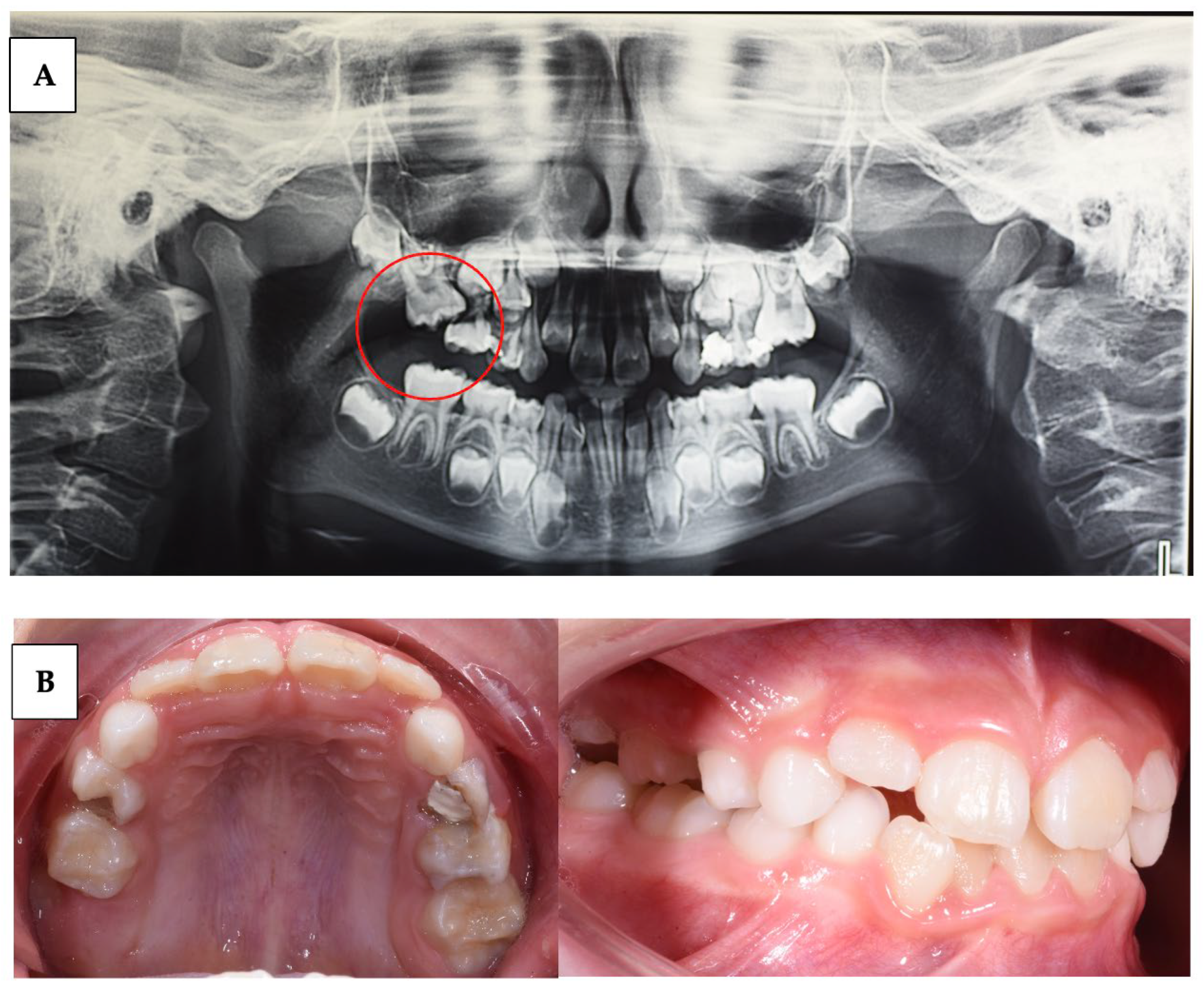 Children 10 01781 g005