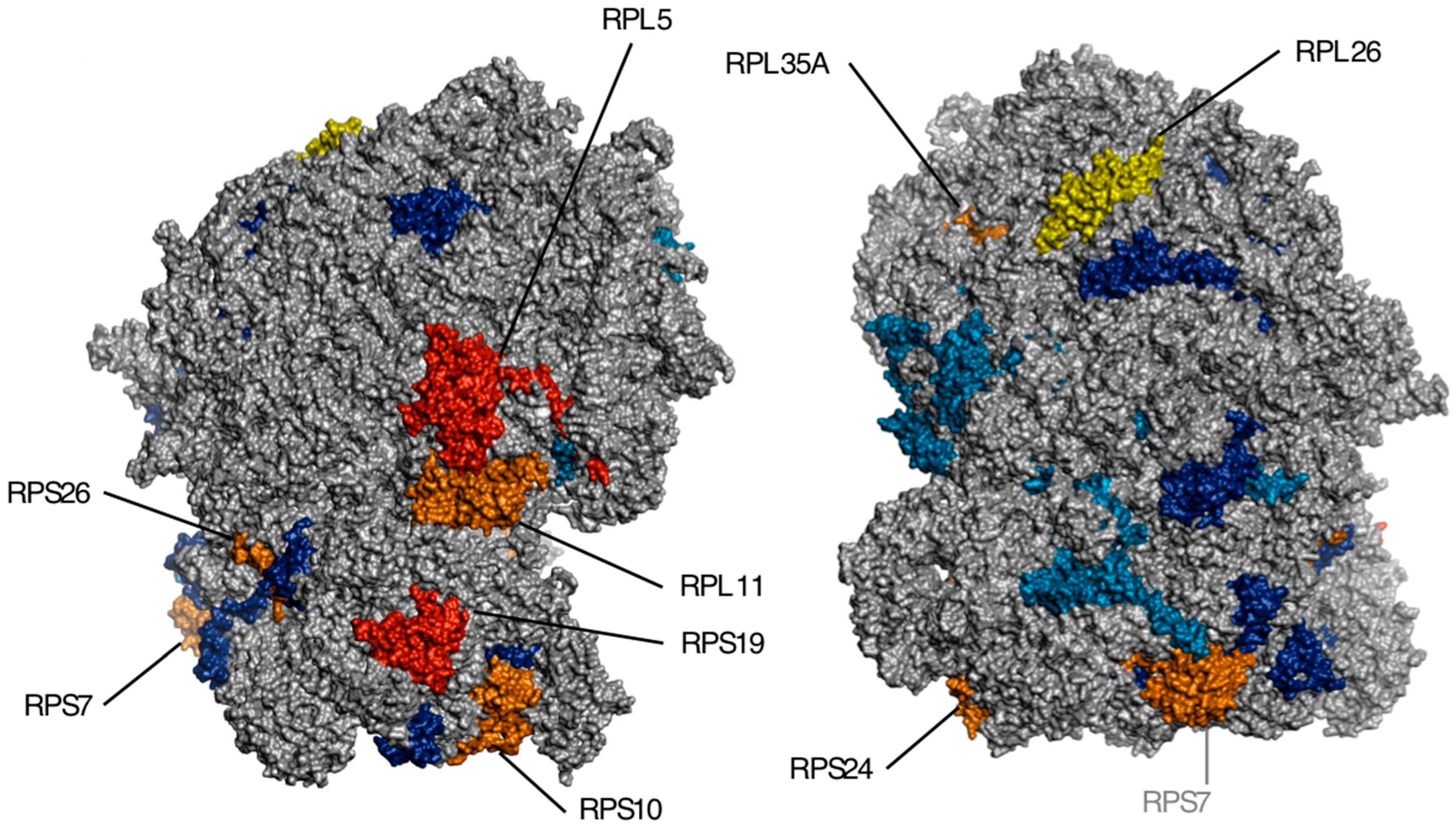 Children 10 01812 g001