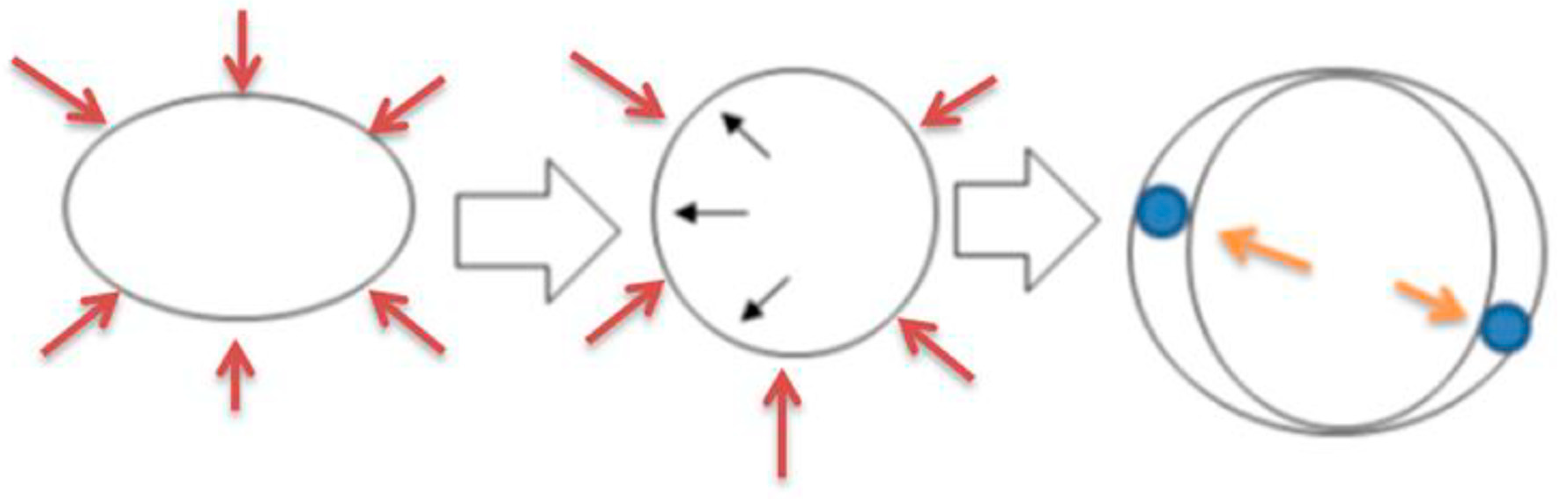 Children 10 01827 g001