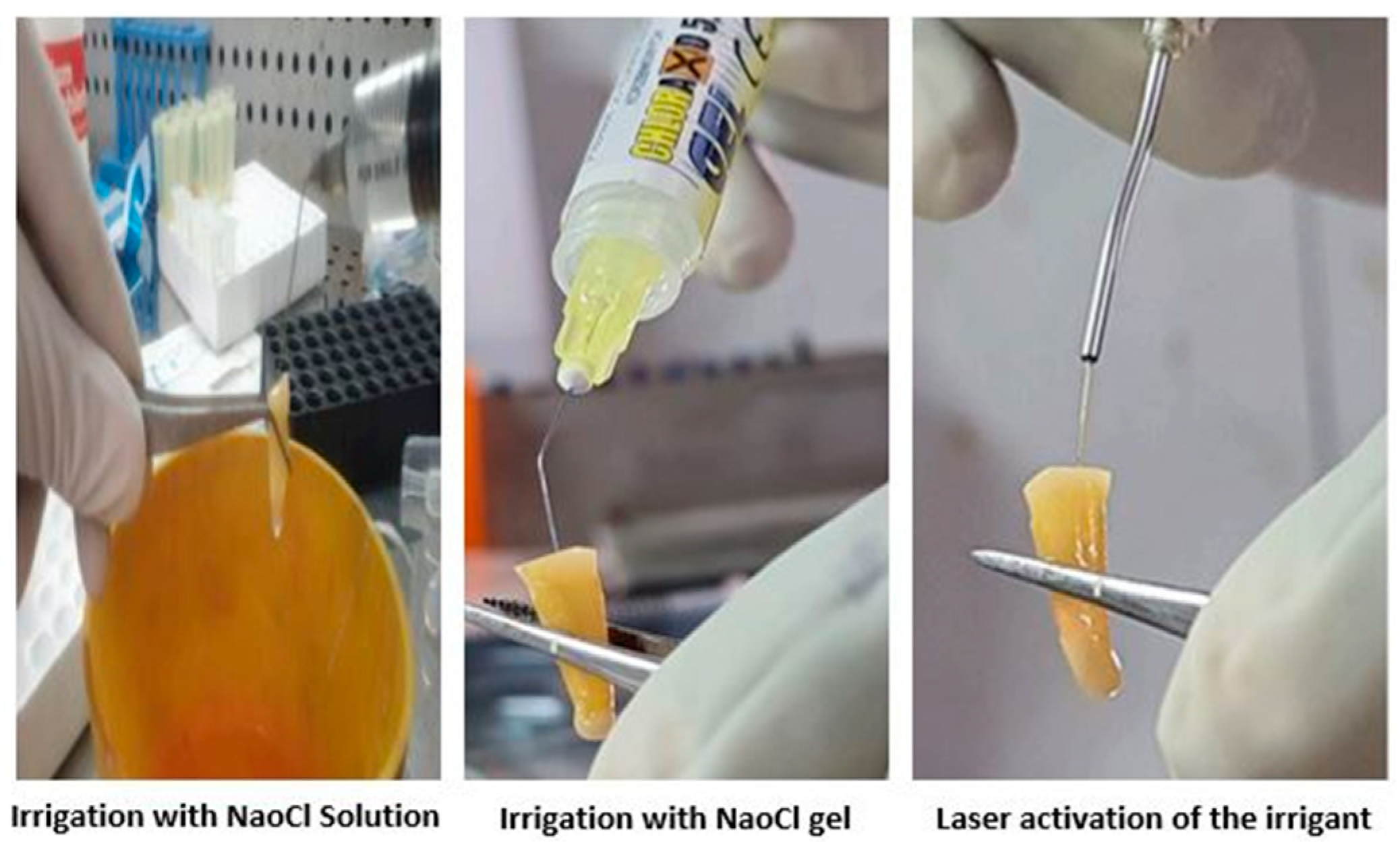 Children 10 01887 g002