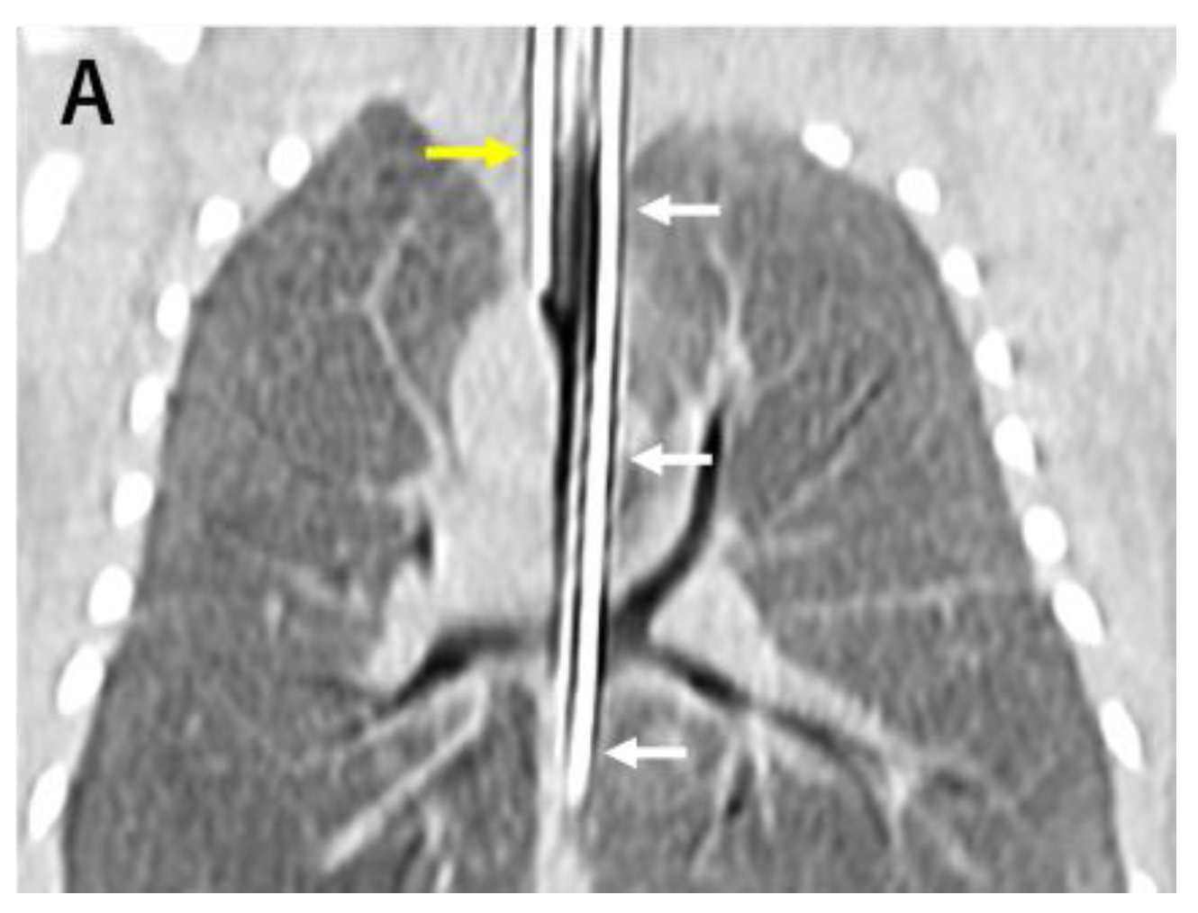 Children 10 01907 g001a