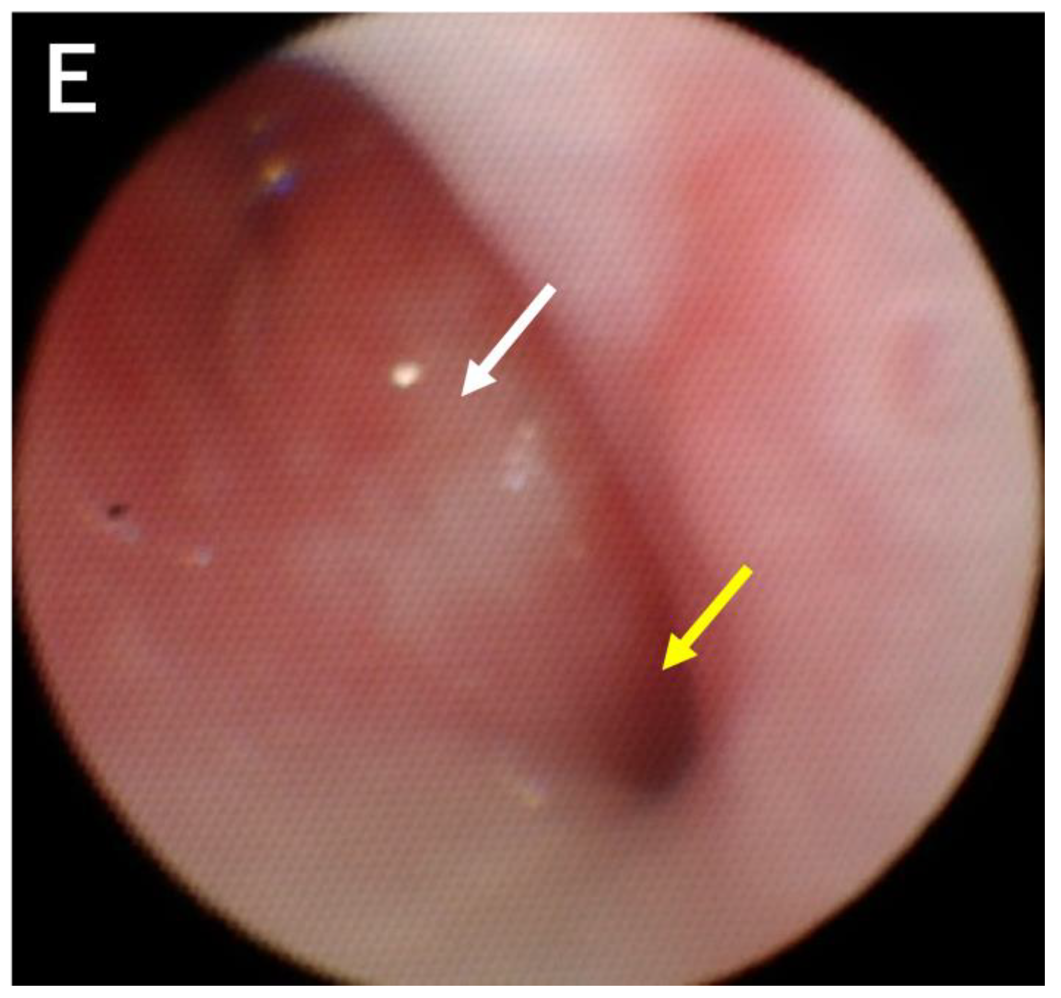 Children 10 01907 g002c