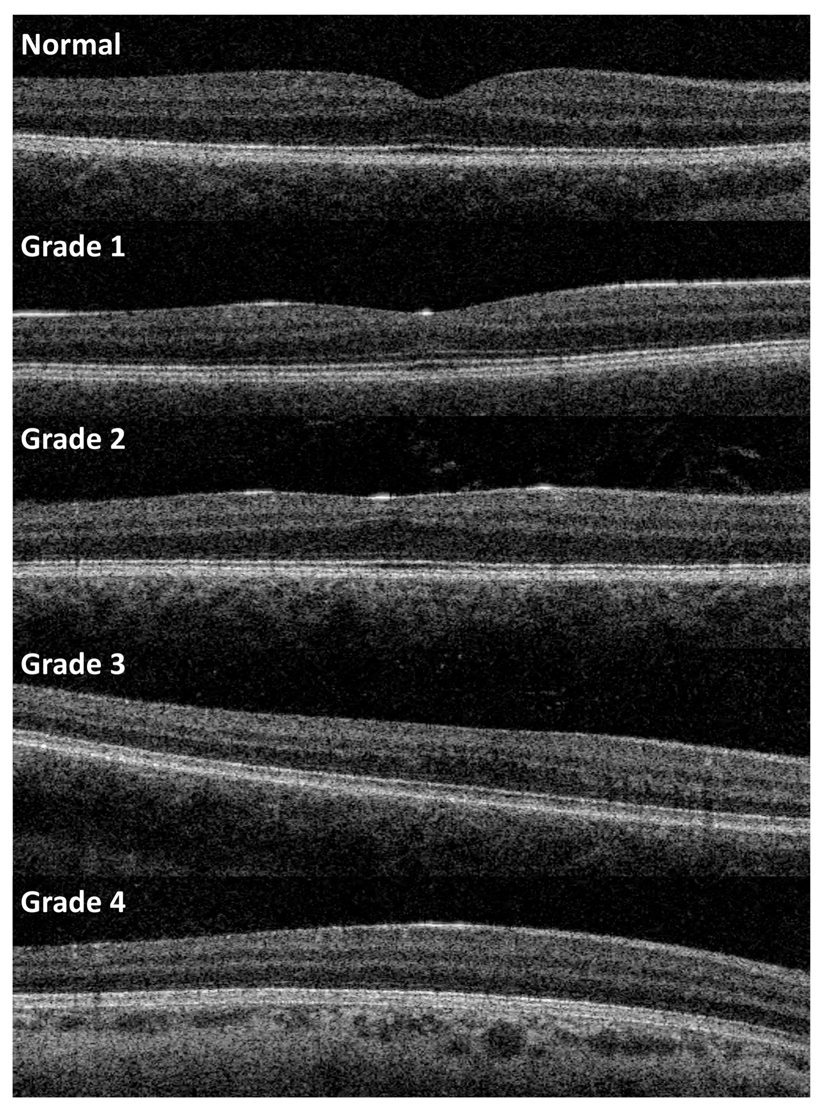 Children 10 01910 g001