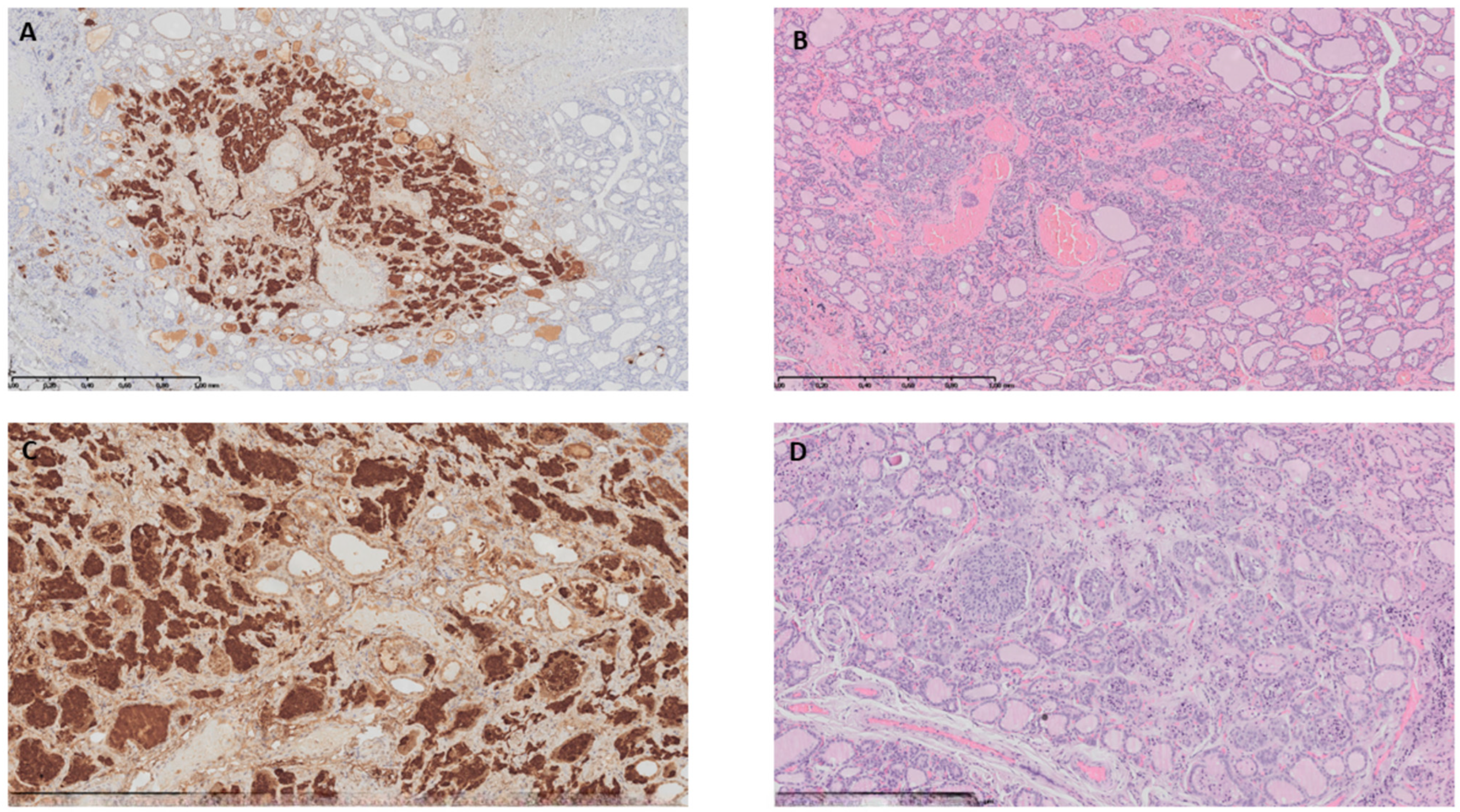 Children 10 01916 g002