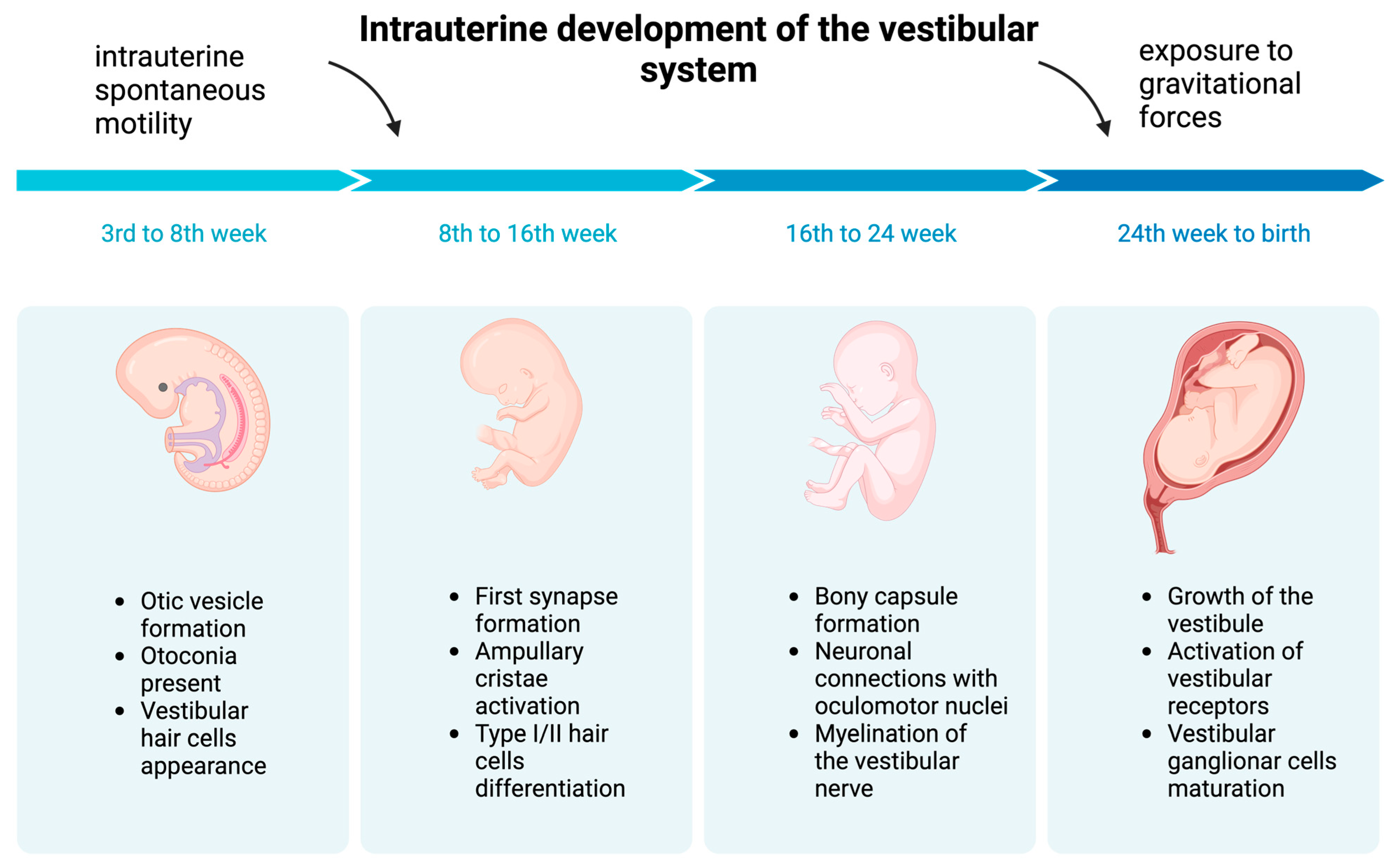 Children 11 00002 g001