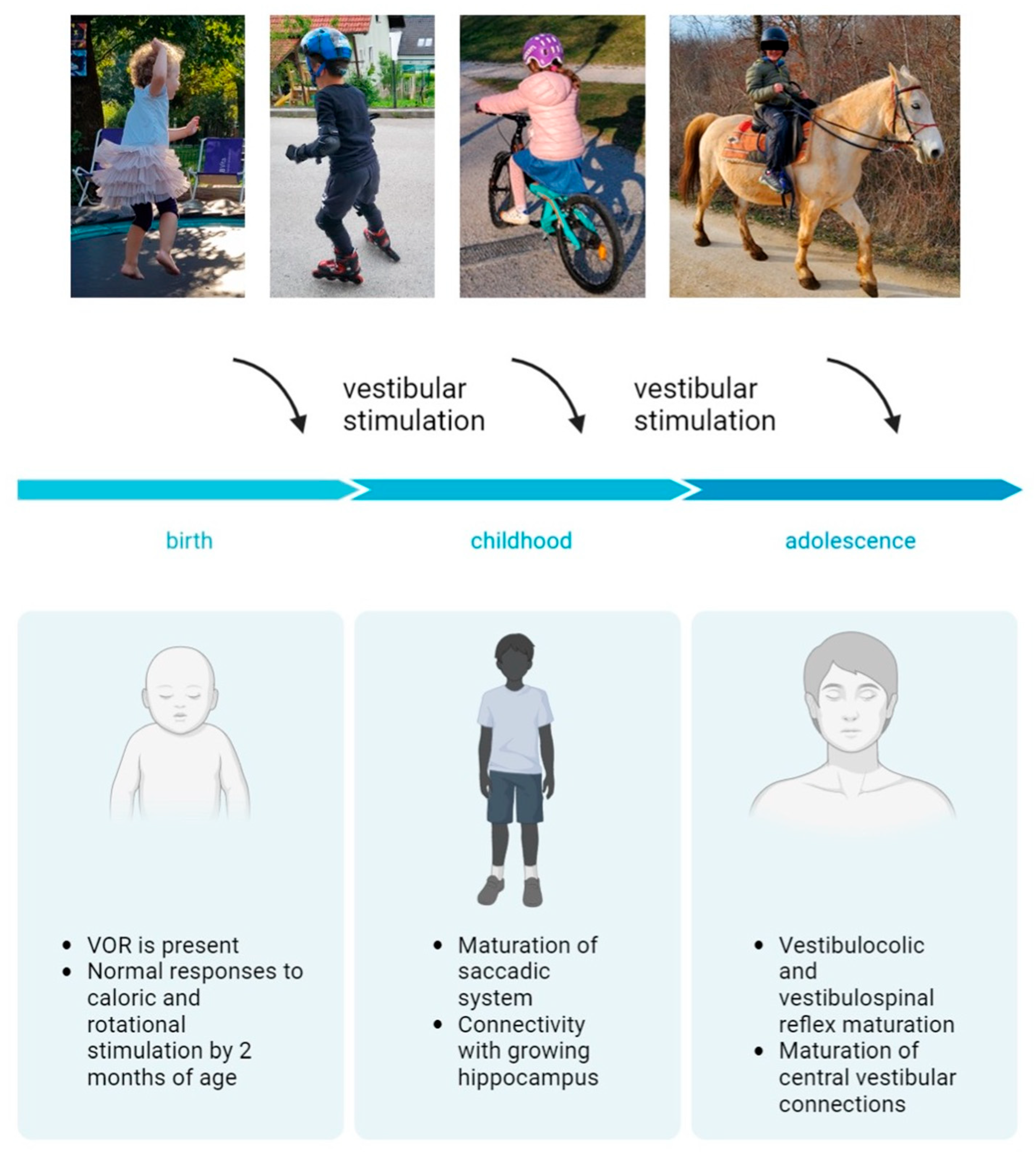 Children 11 00002 g002