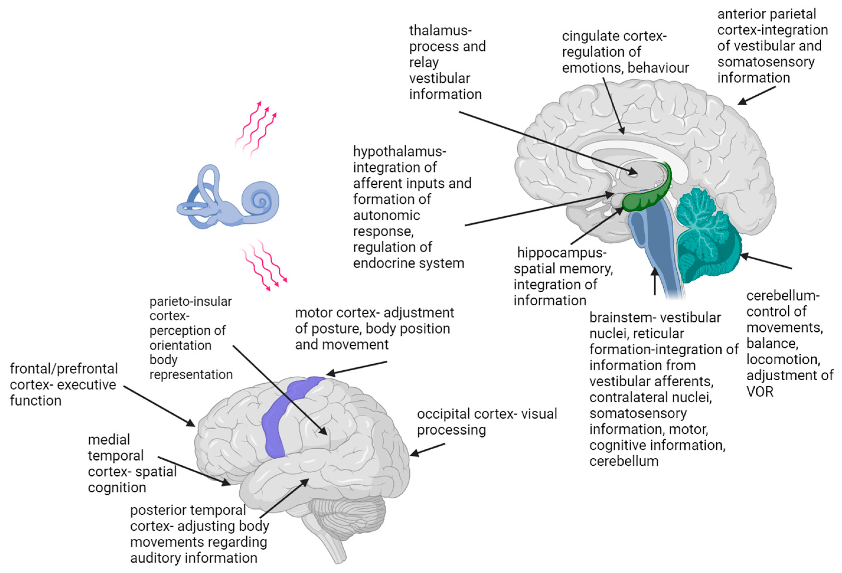Children 11 00002 g003