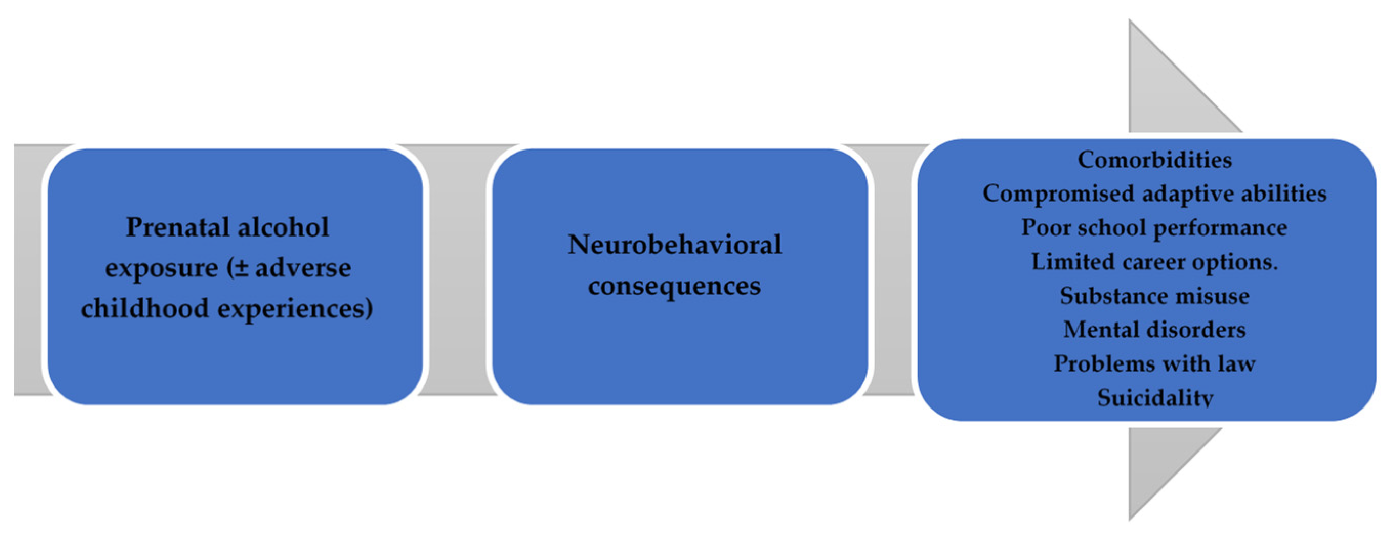 Children 11 00005 g001