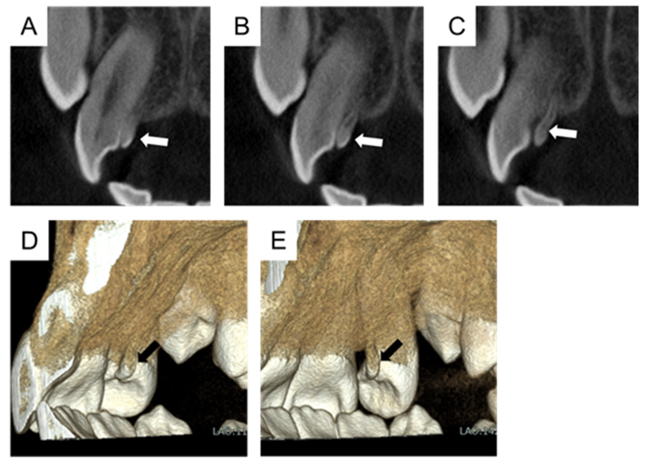 Children 11 00006 g005 Children 11 00006 g005