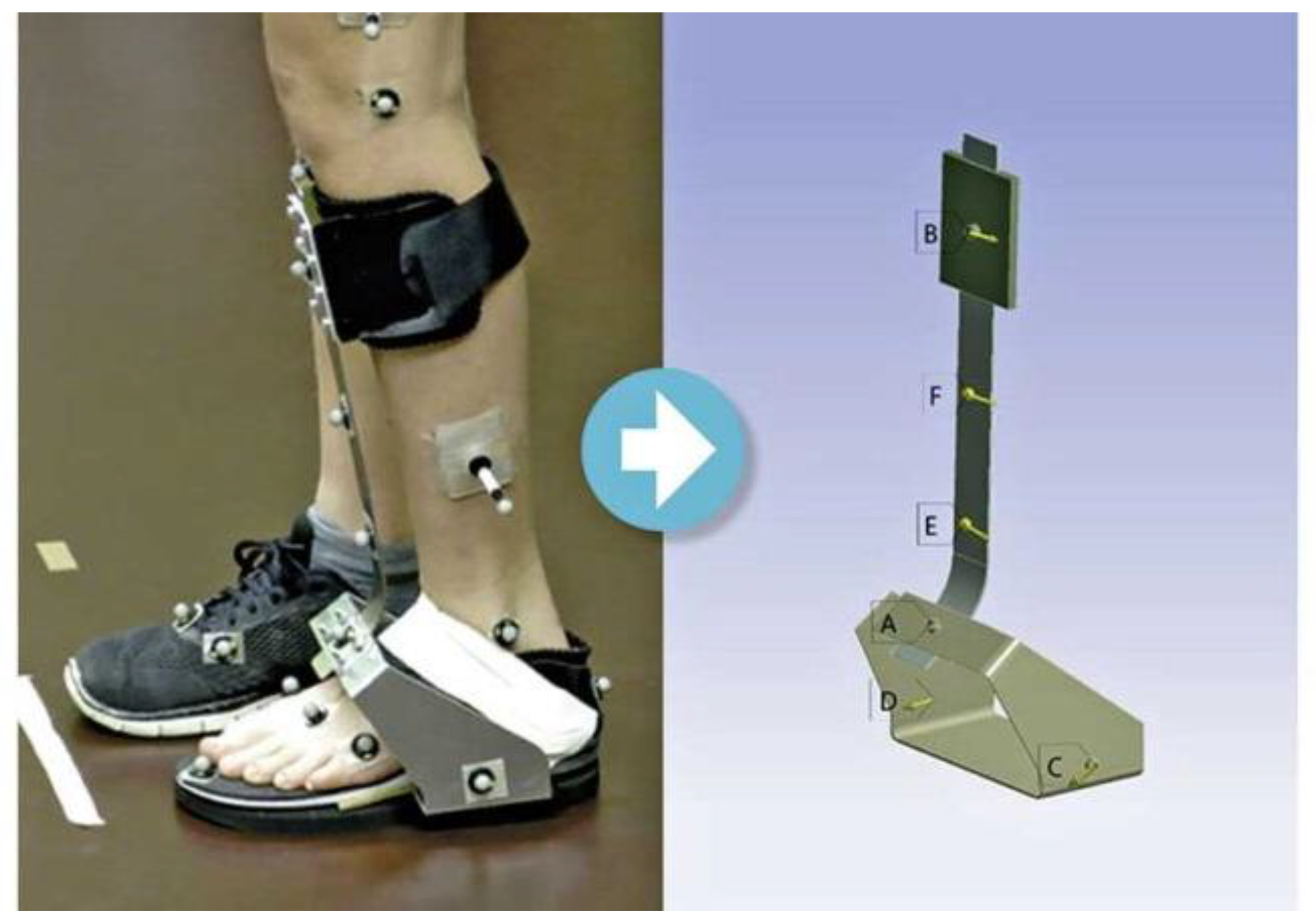 Children 11 00030 g001