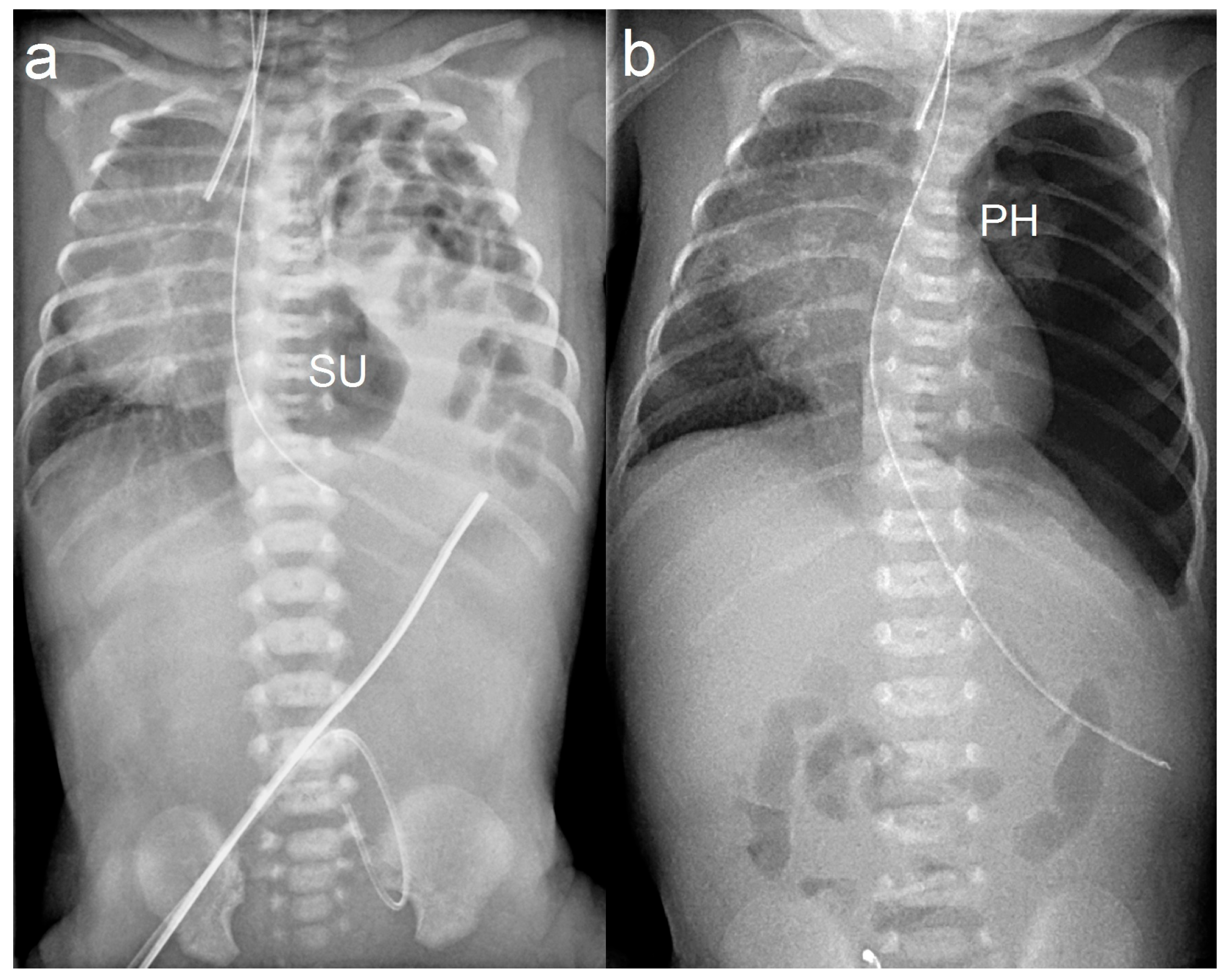 Children 11 00035 g003