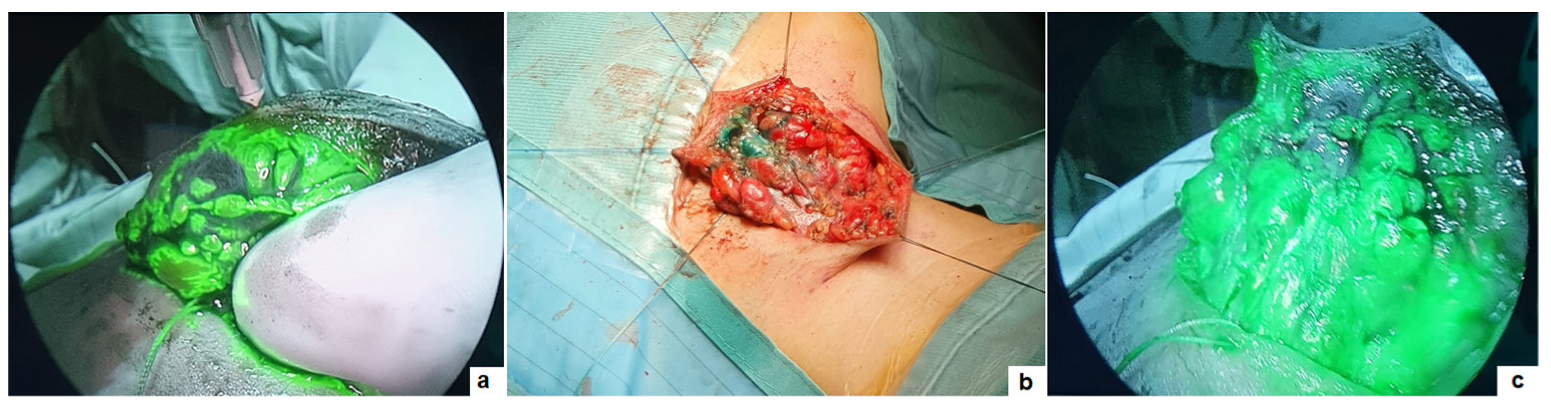 Children 11 00054 g001