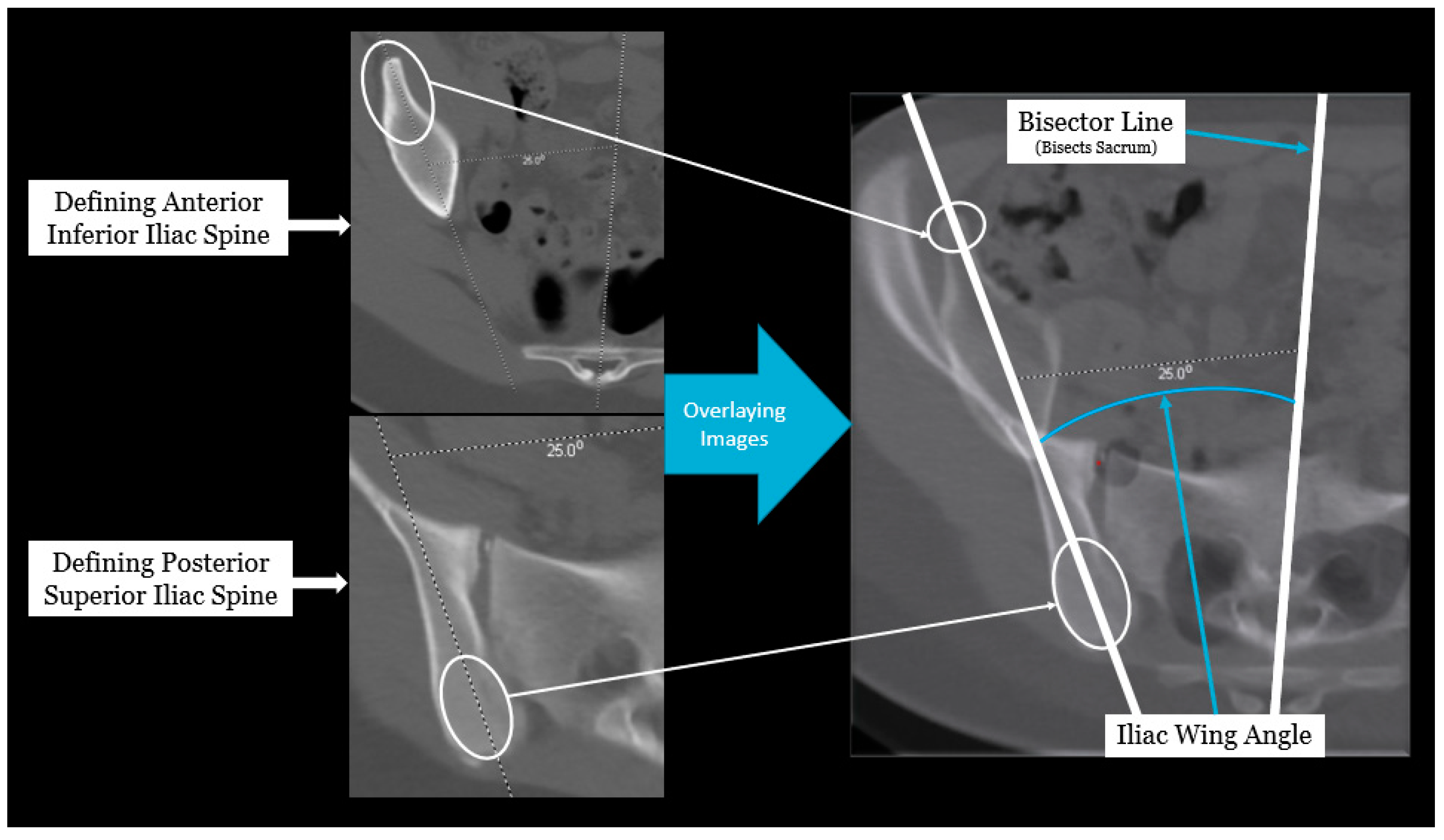 Children 11 00063 g001