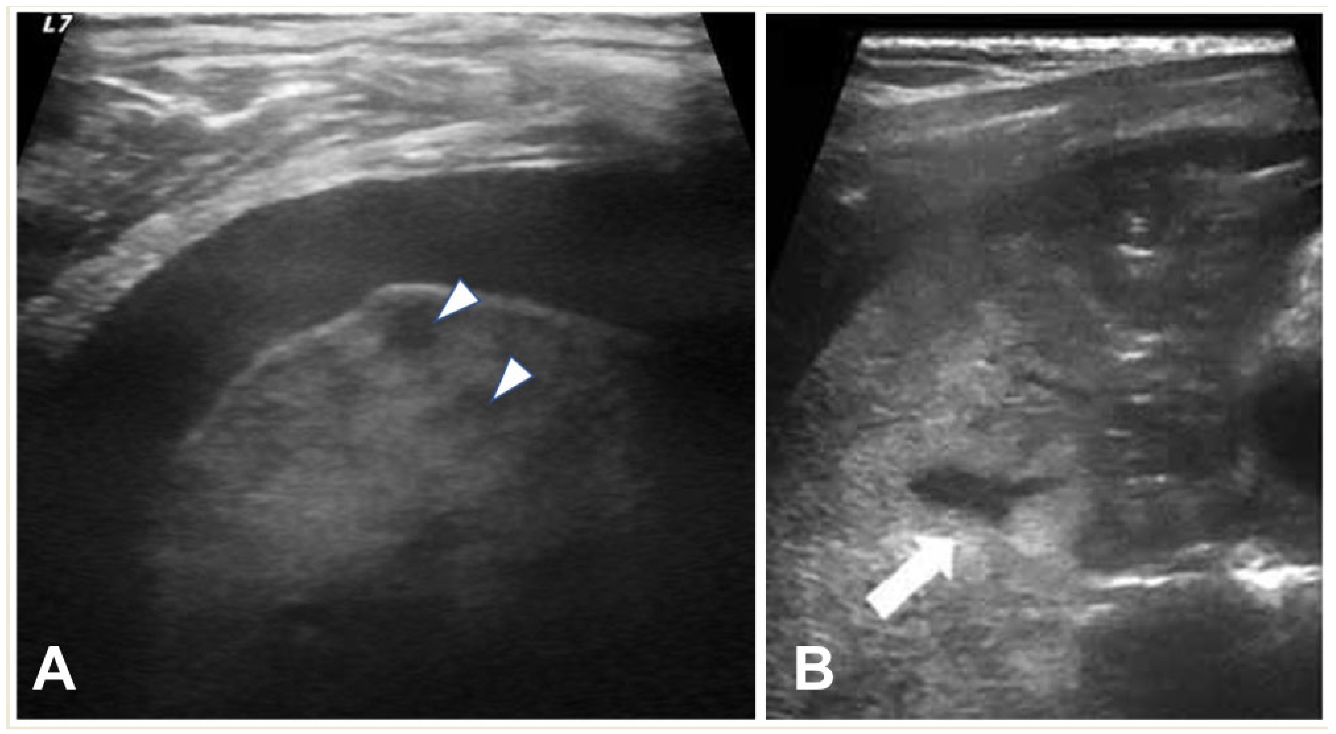 Children 11 00122 g007