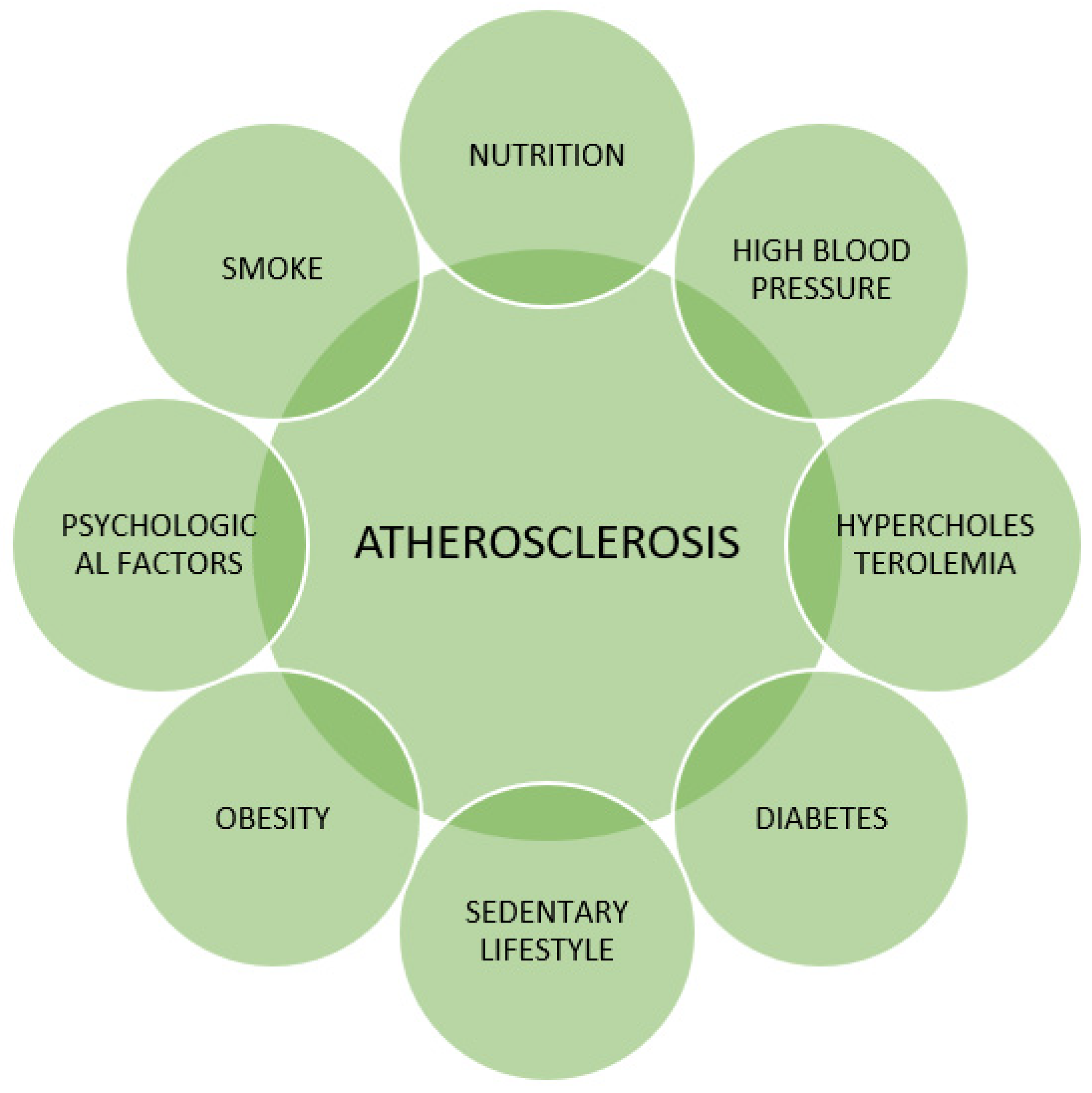 Children 11 00129 g001