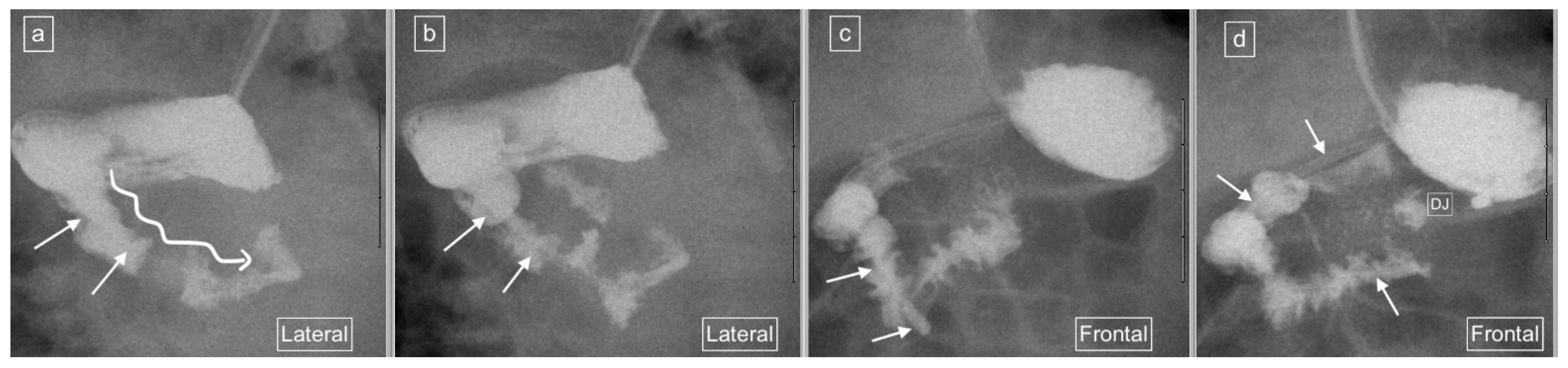 Children 11 00151 g007