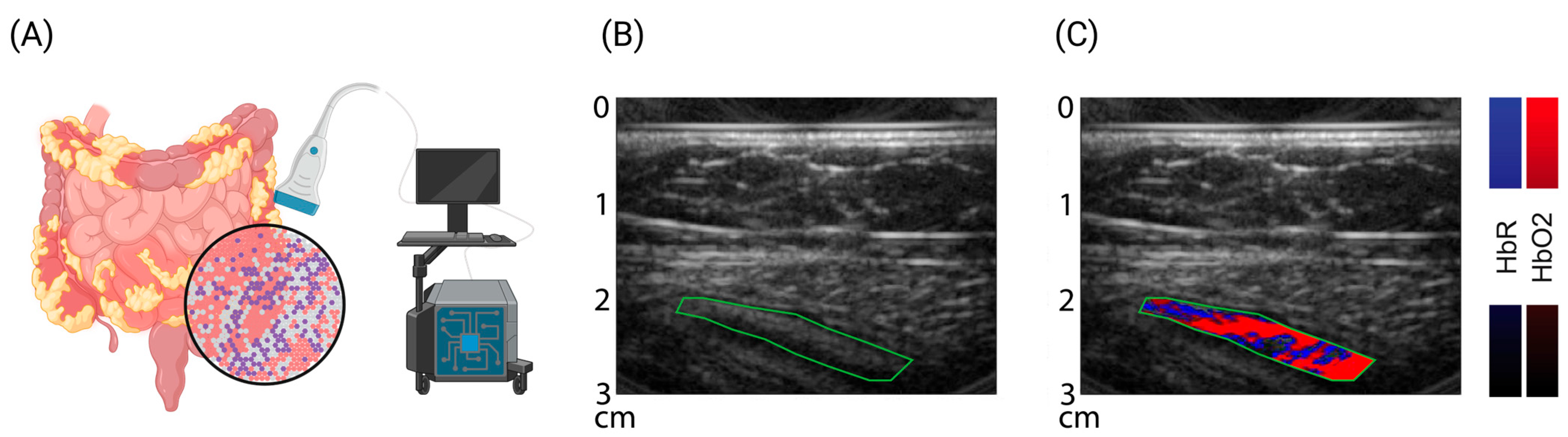 Children 11 00156 g002 Children 11 00156 g002