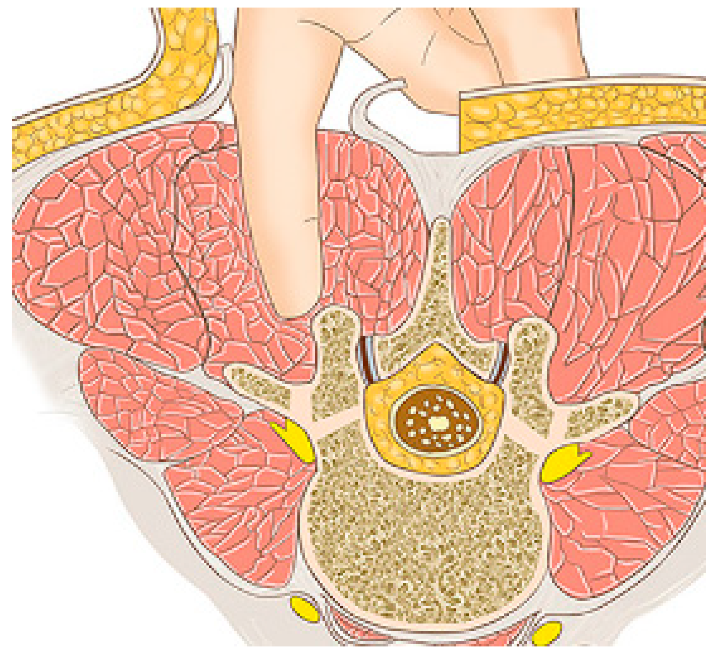 Children 11 00157 g002