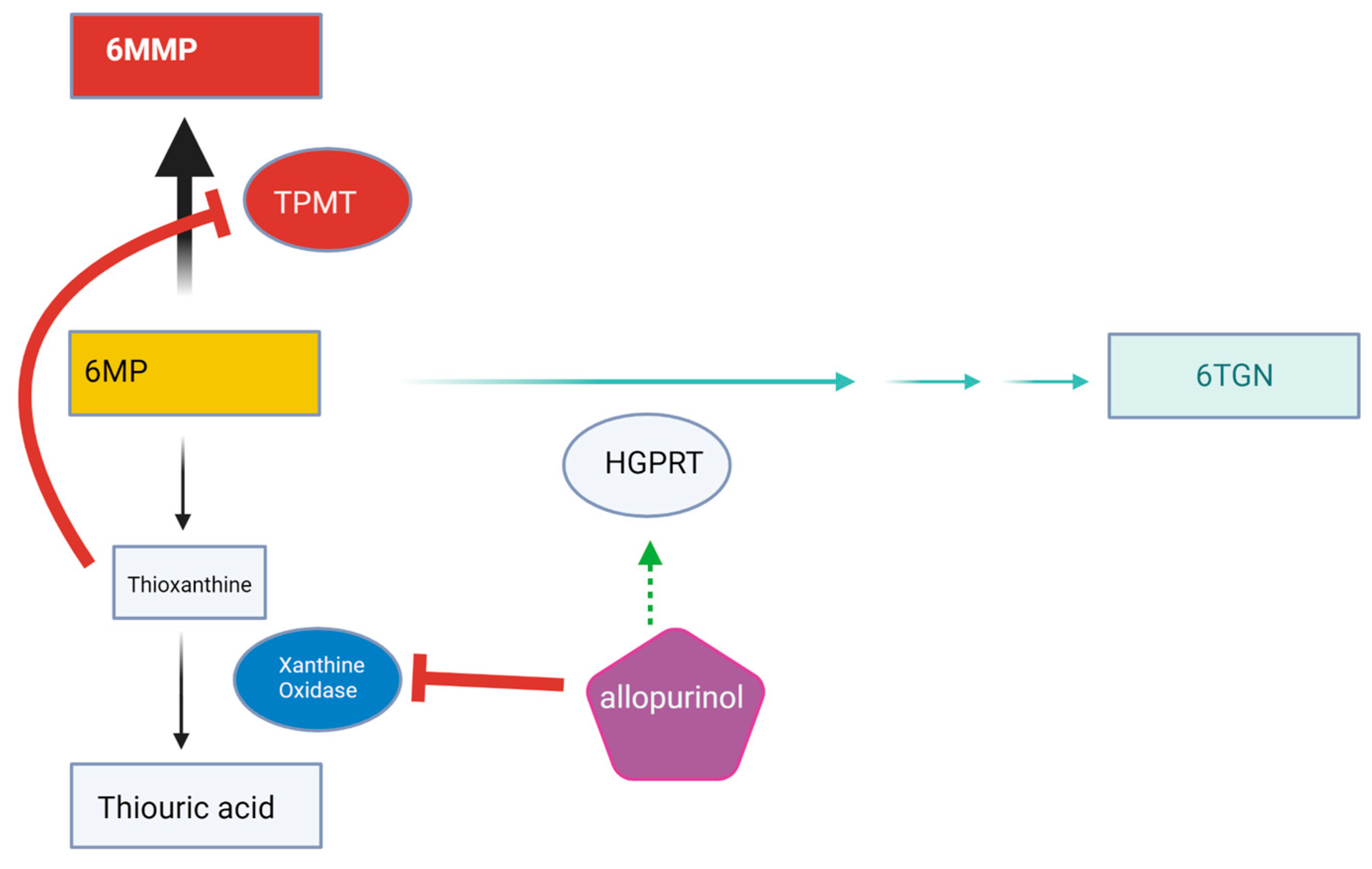 Children 11 00160 g002