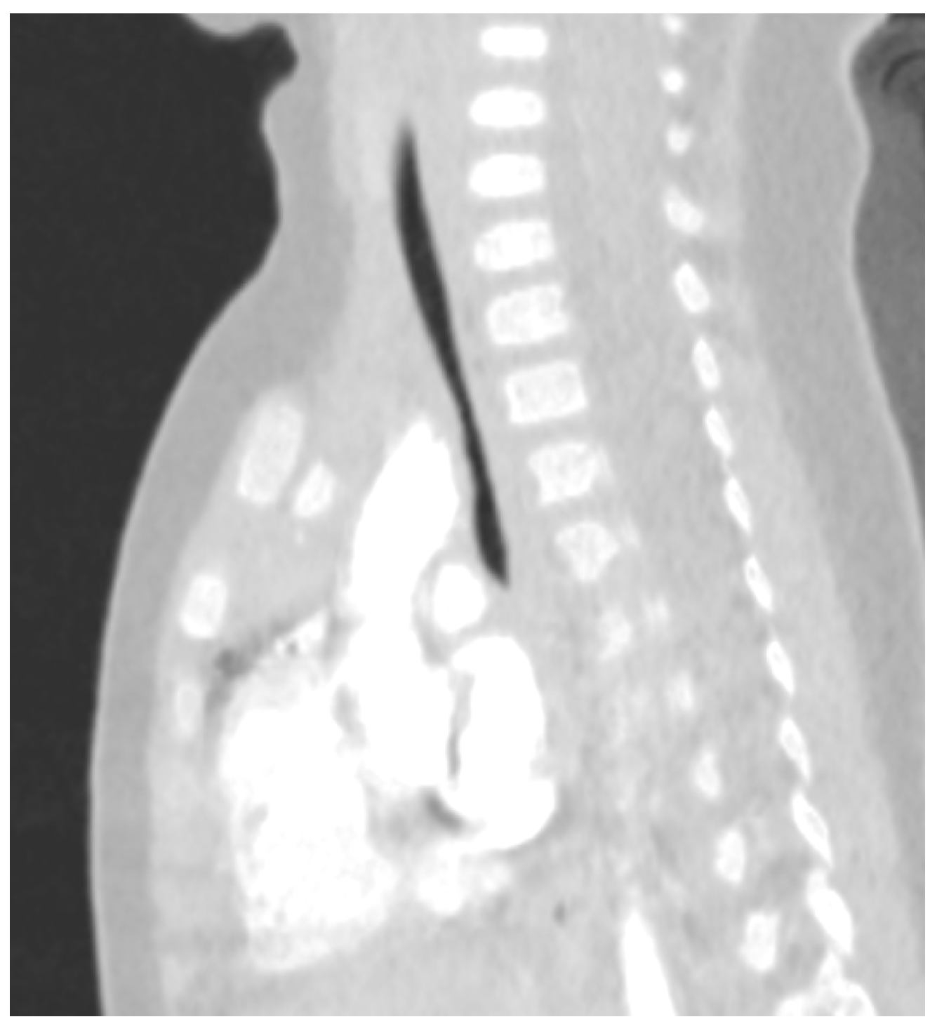 Children 11 00246 g002