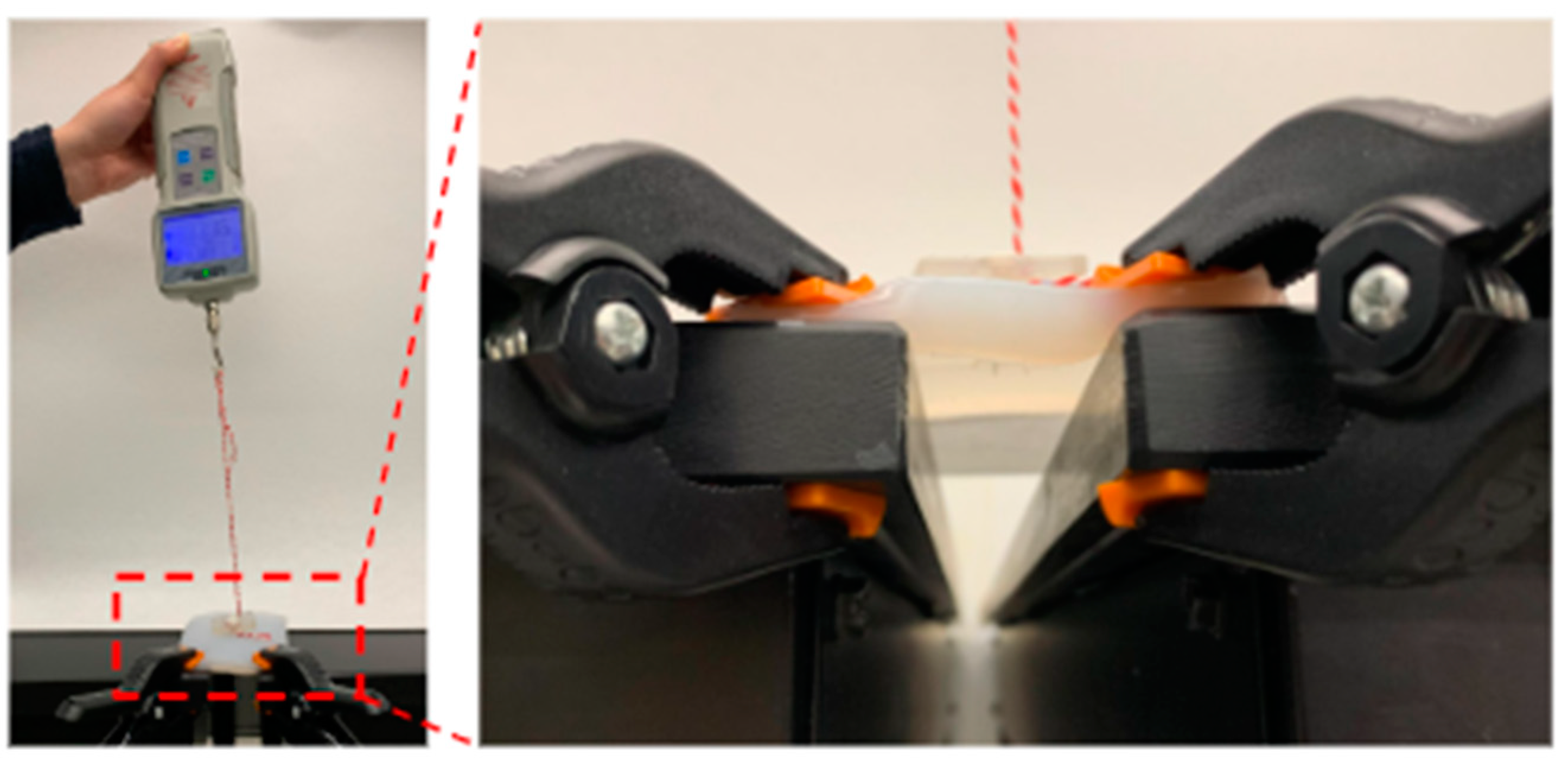 Children 11 00263 g002