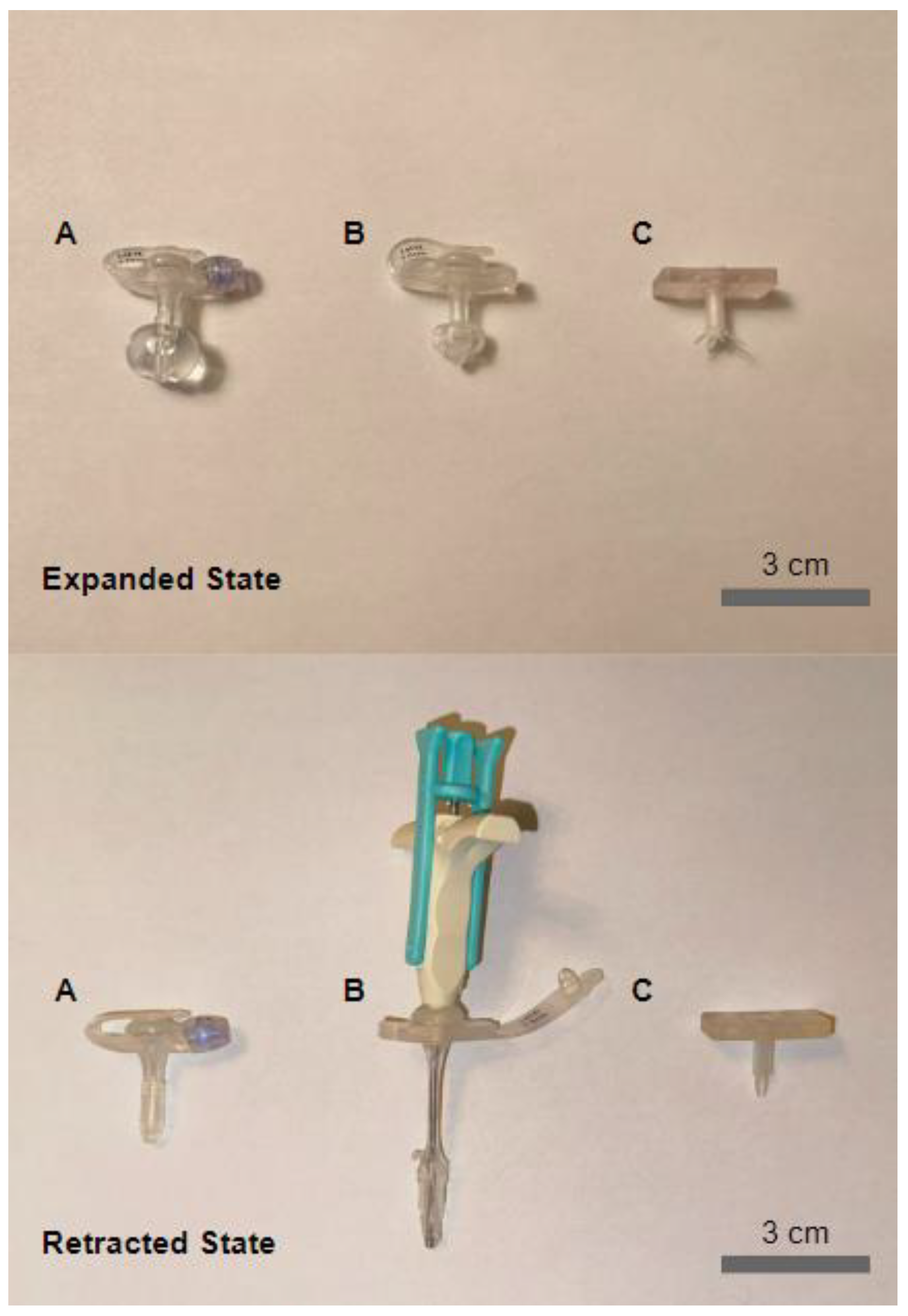 Children 11 00263 g003