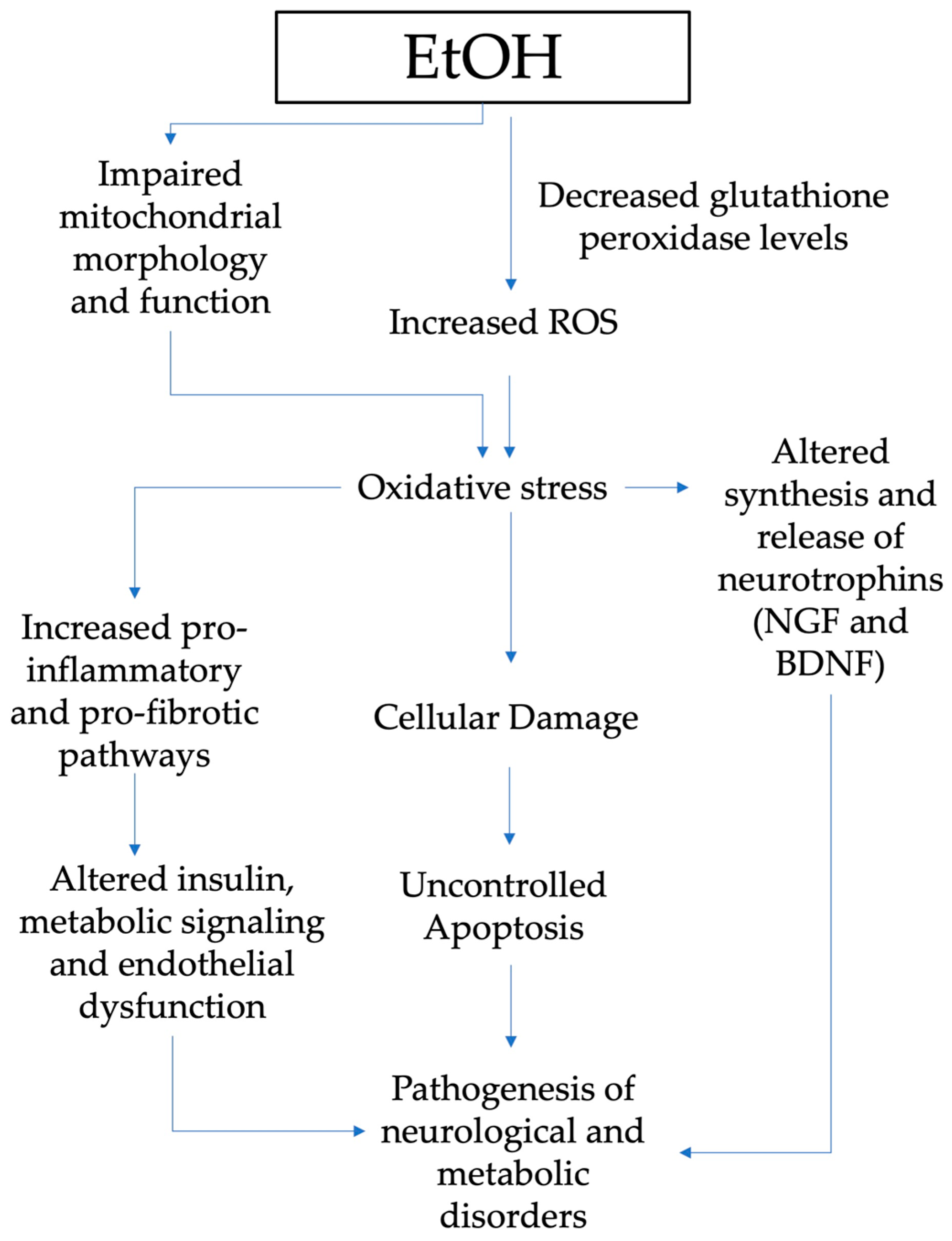 Children 11 00269 g002 Children 11 00269 g002