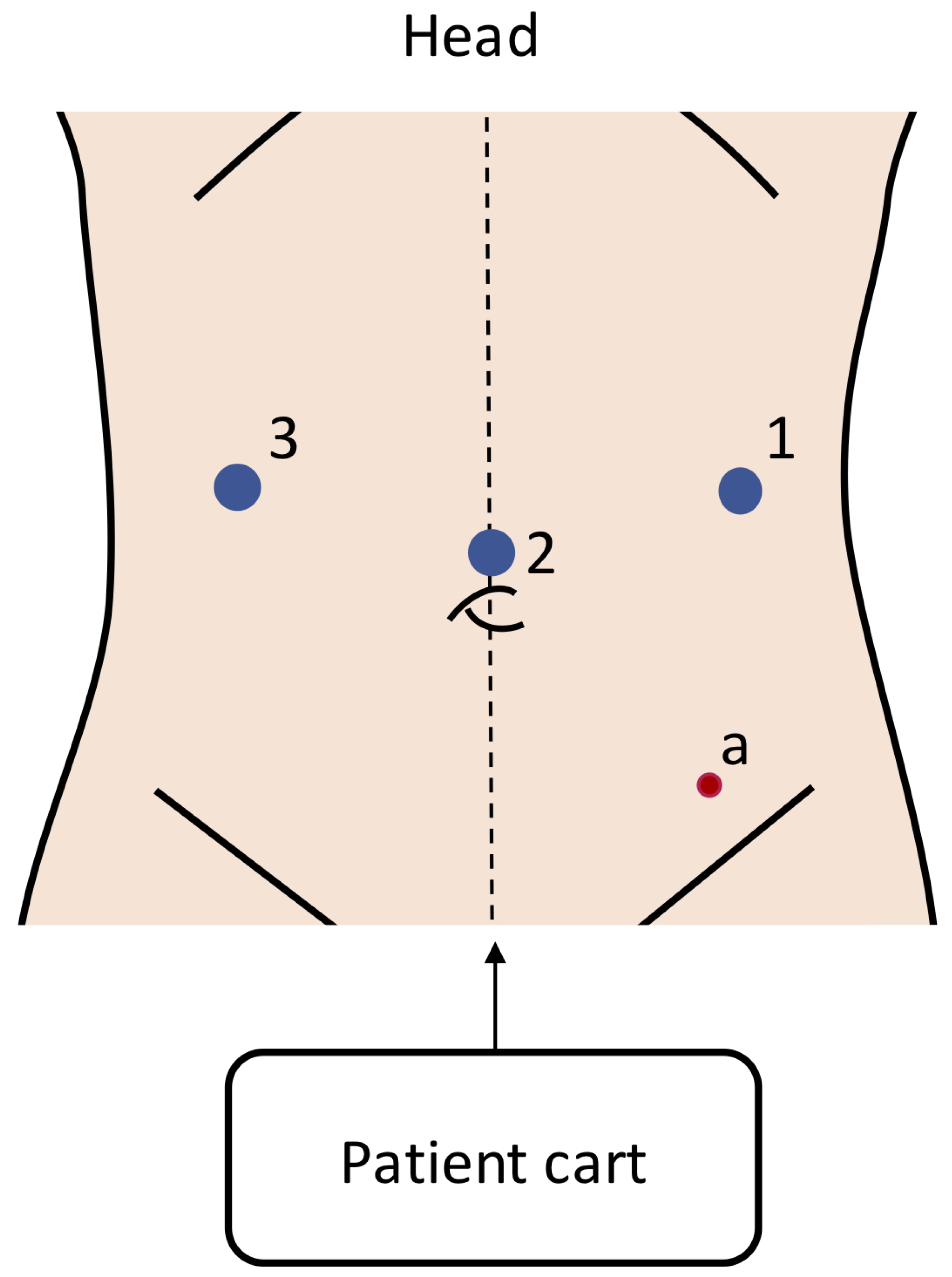 Children 11 00273 g002