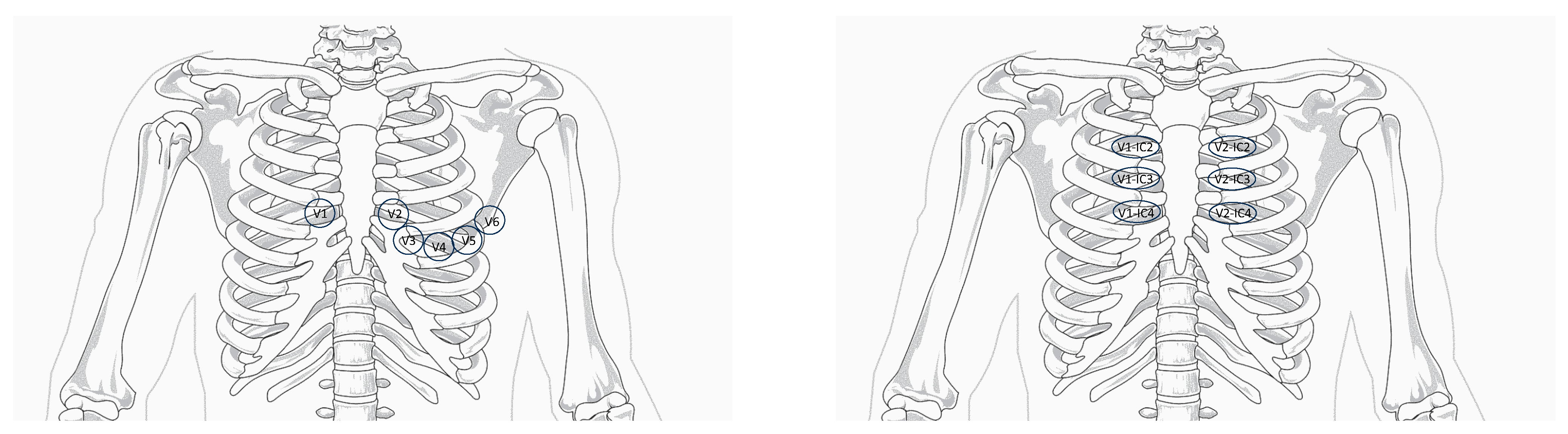 Children 11 00281 g002