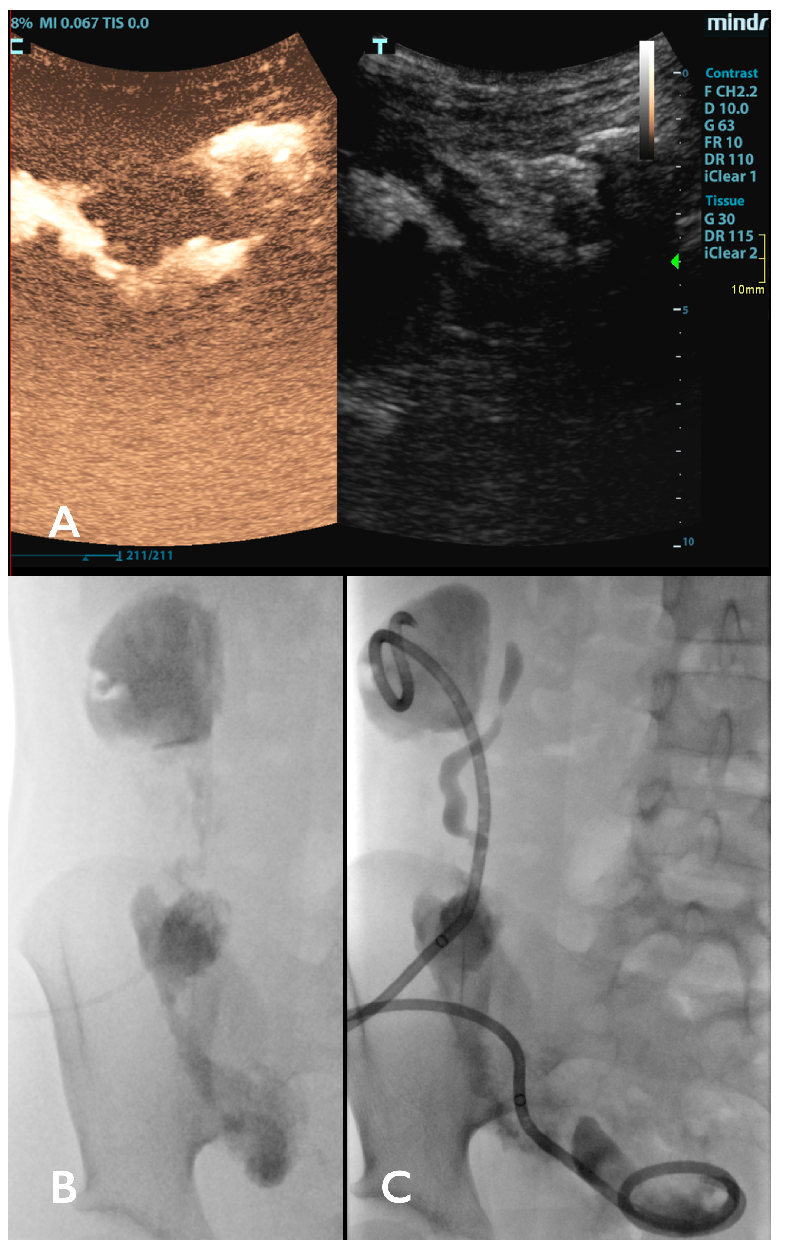 Children 11 00290 g002