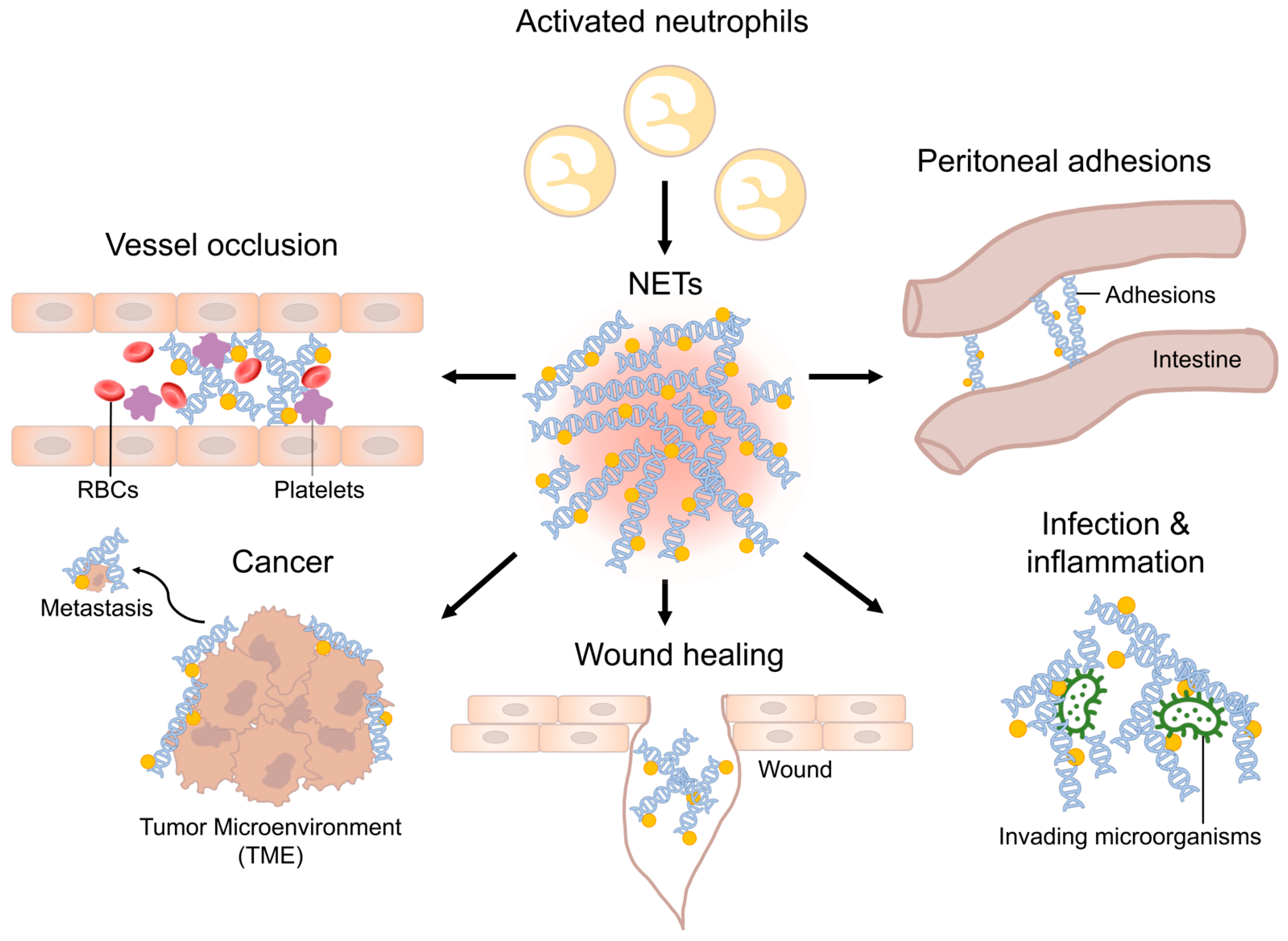 Children 11 00295 g001